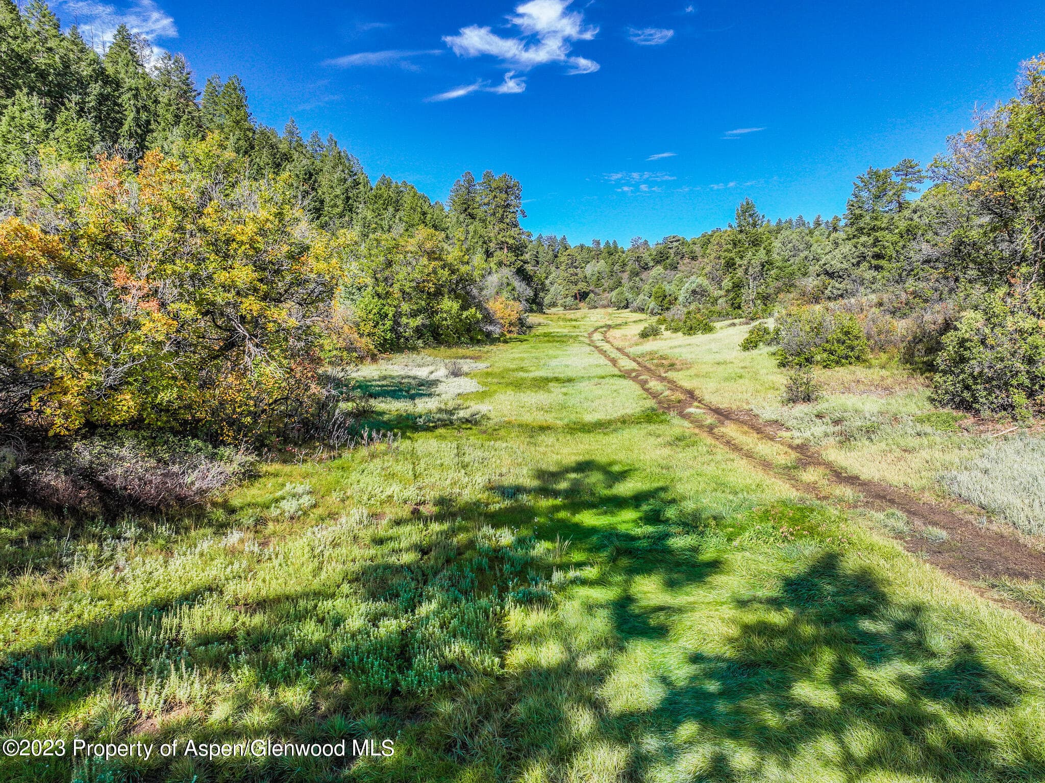 TBD 700 County Road Cat Creek Road, Pagosa Springs, CO 81147 - Photo 5