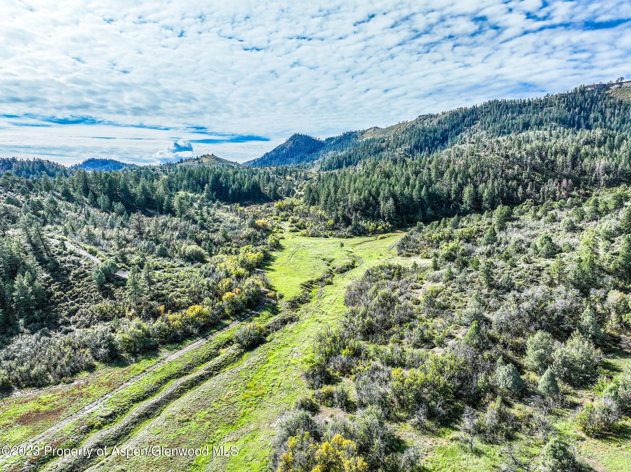 TBD 700 County Road Cat Creek Road, Pagosa Springs, CO 81147 - Photo 11