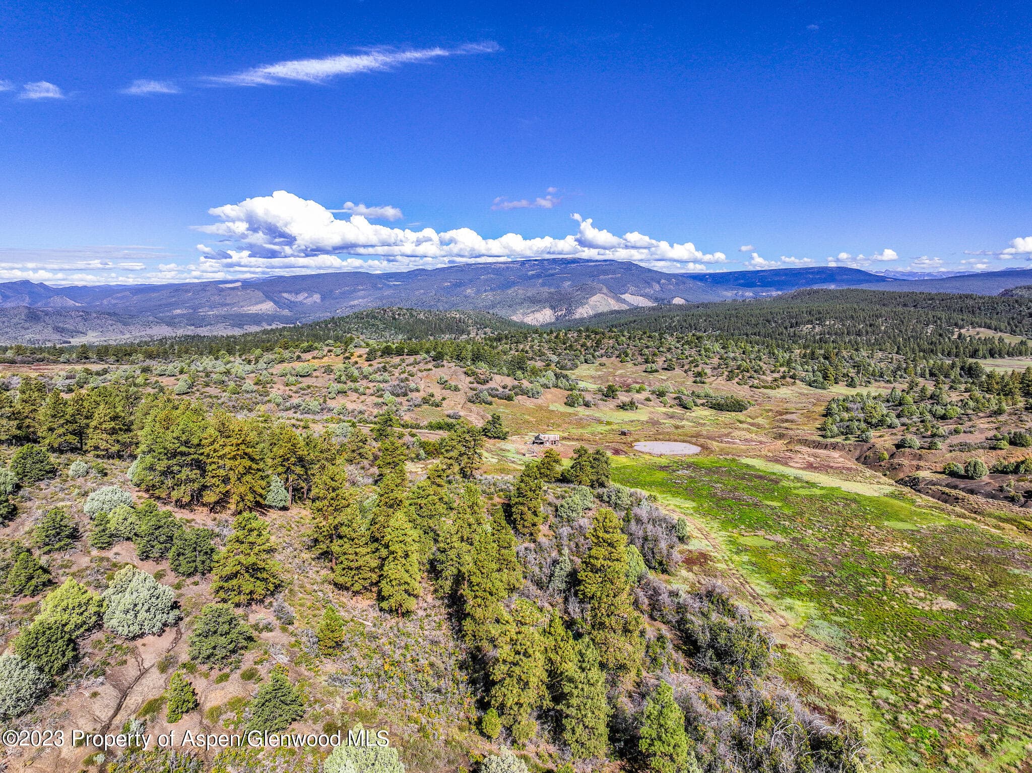 TBD 700 County Road Cat Creek Road, Pagosa Springs, CO 81147 - Photo 12