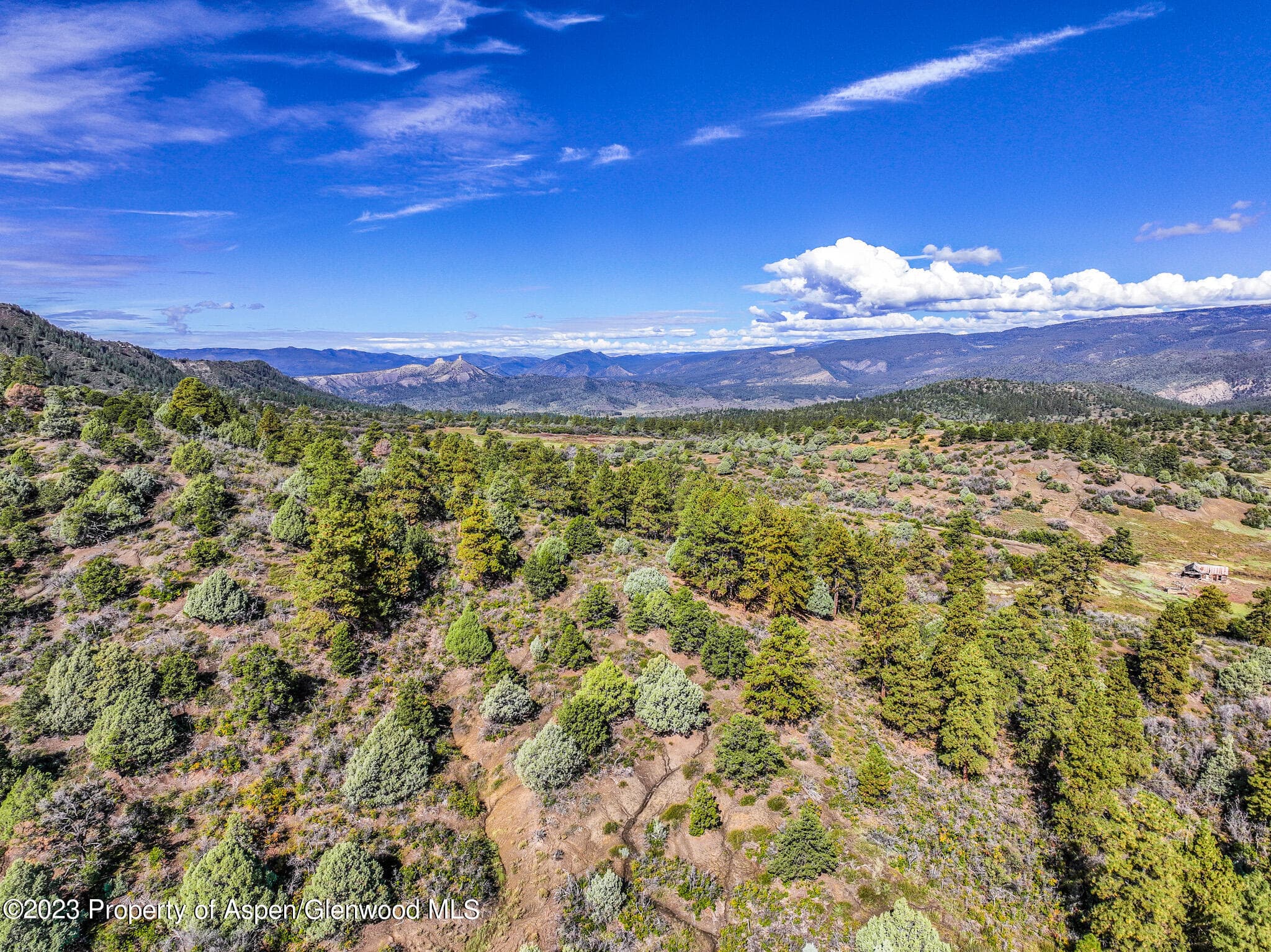 TBD 700 County Road Cat Creek Road, Pagosa Springs, CO 81147 - Photo 13