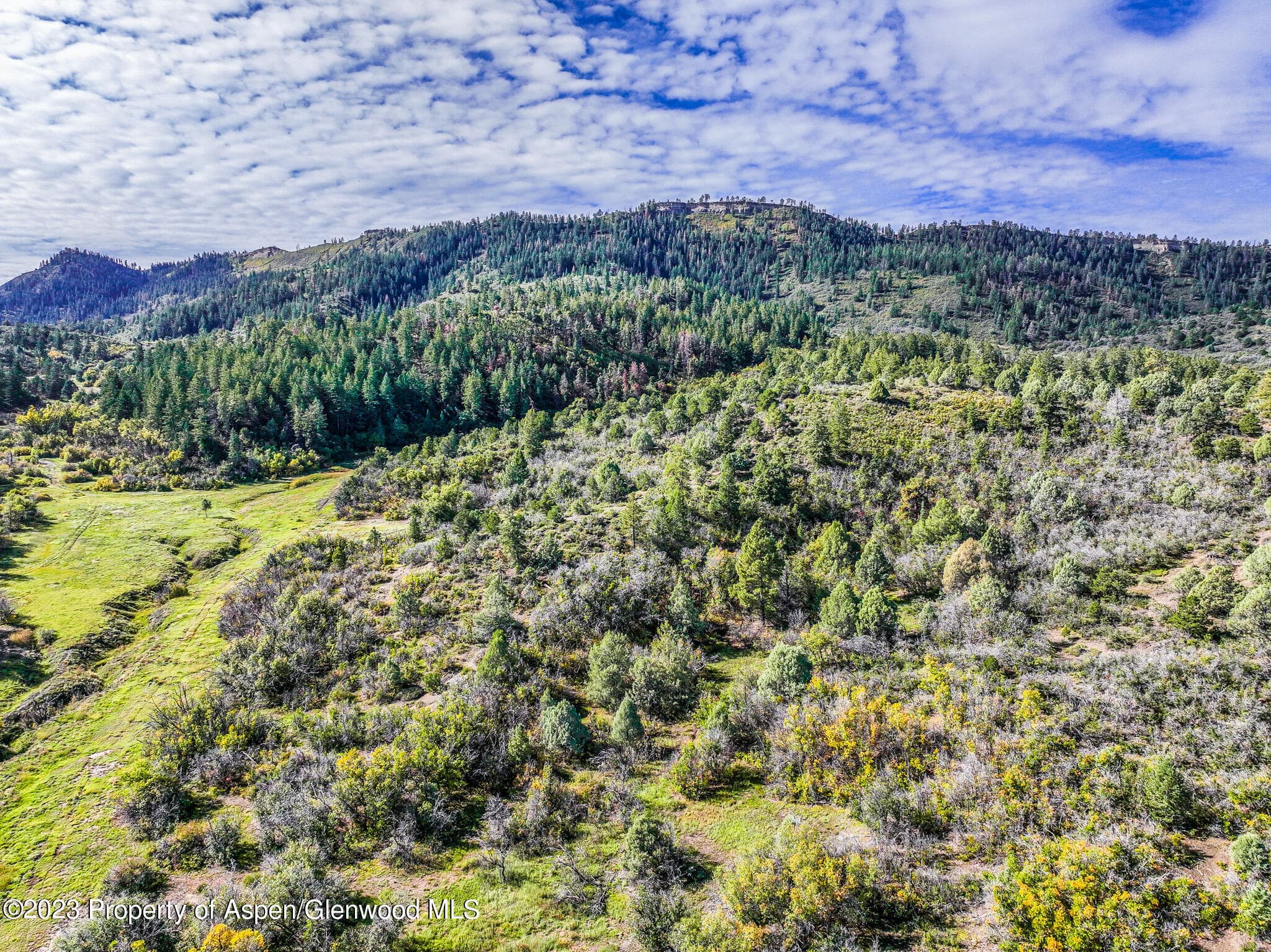 TBD 700 County Road Cat Creek Road, Pagosa Springs, CO 81147 - Photo 14