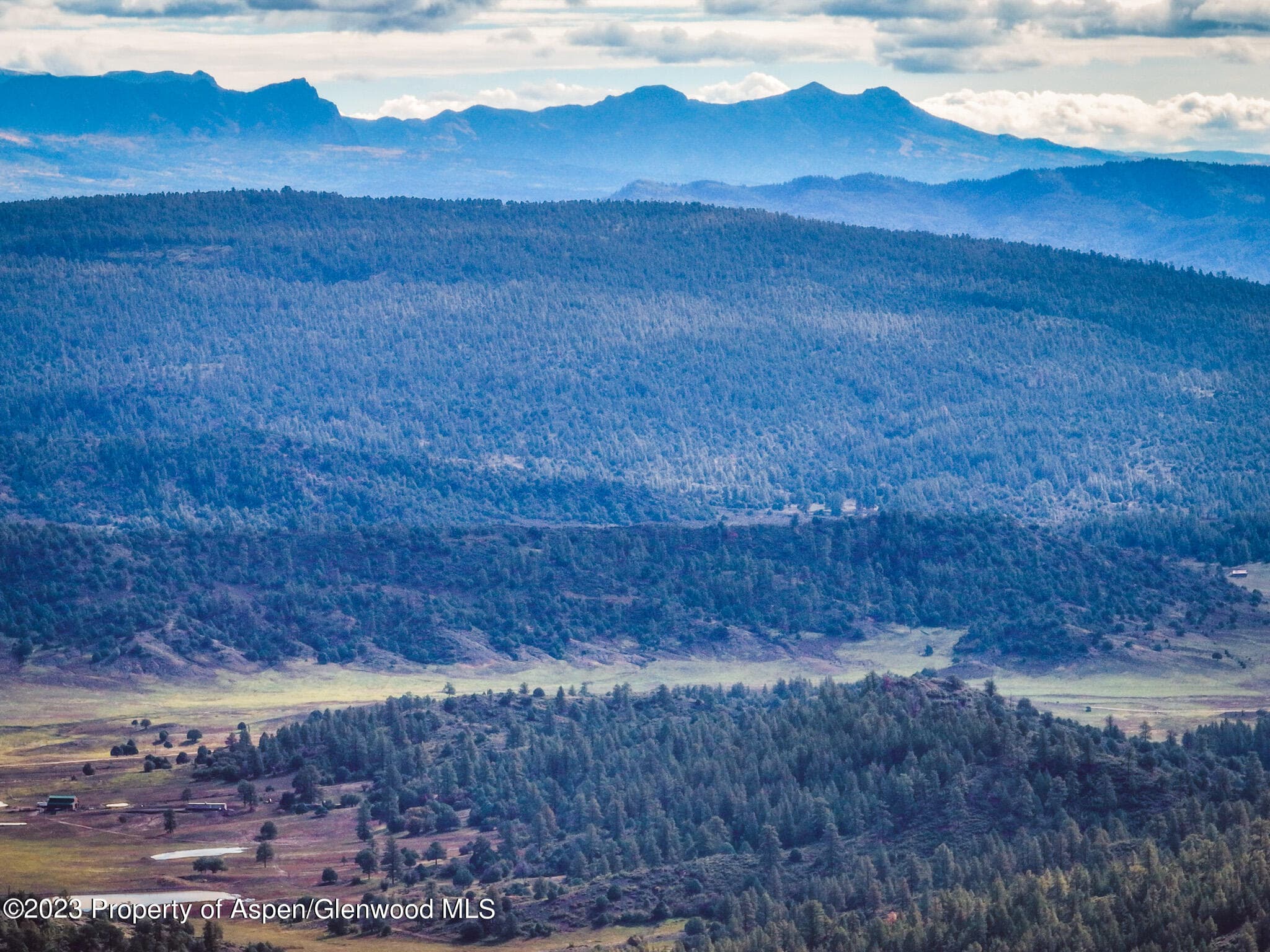 TBD 700 County Road Cat Creek Road, Pagosa Springs, CO 81147 - Photo 15