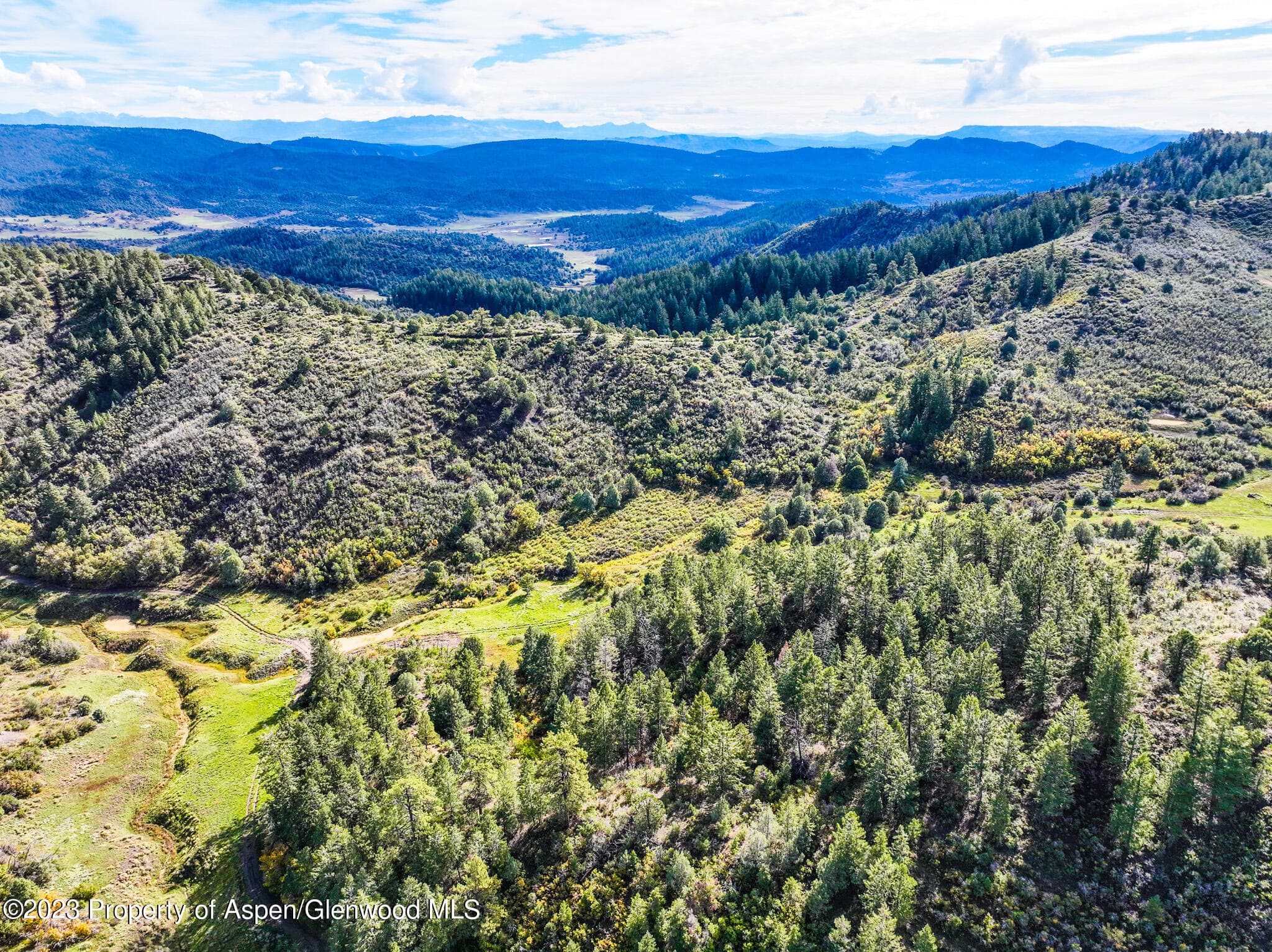 TBD 700 County Road Cat Creek Road, Pagosa Springs, CO 81147 - Photo 17