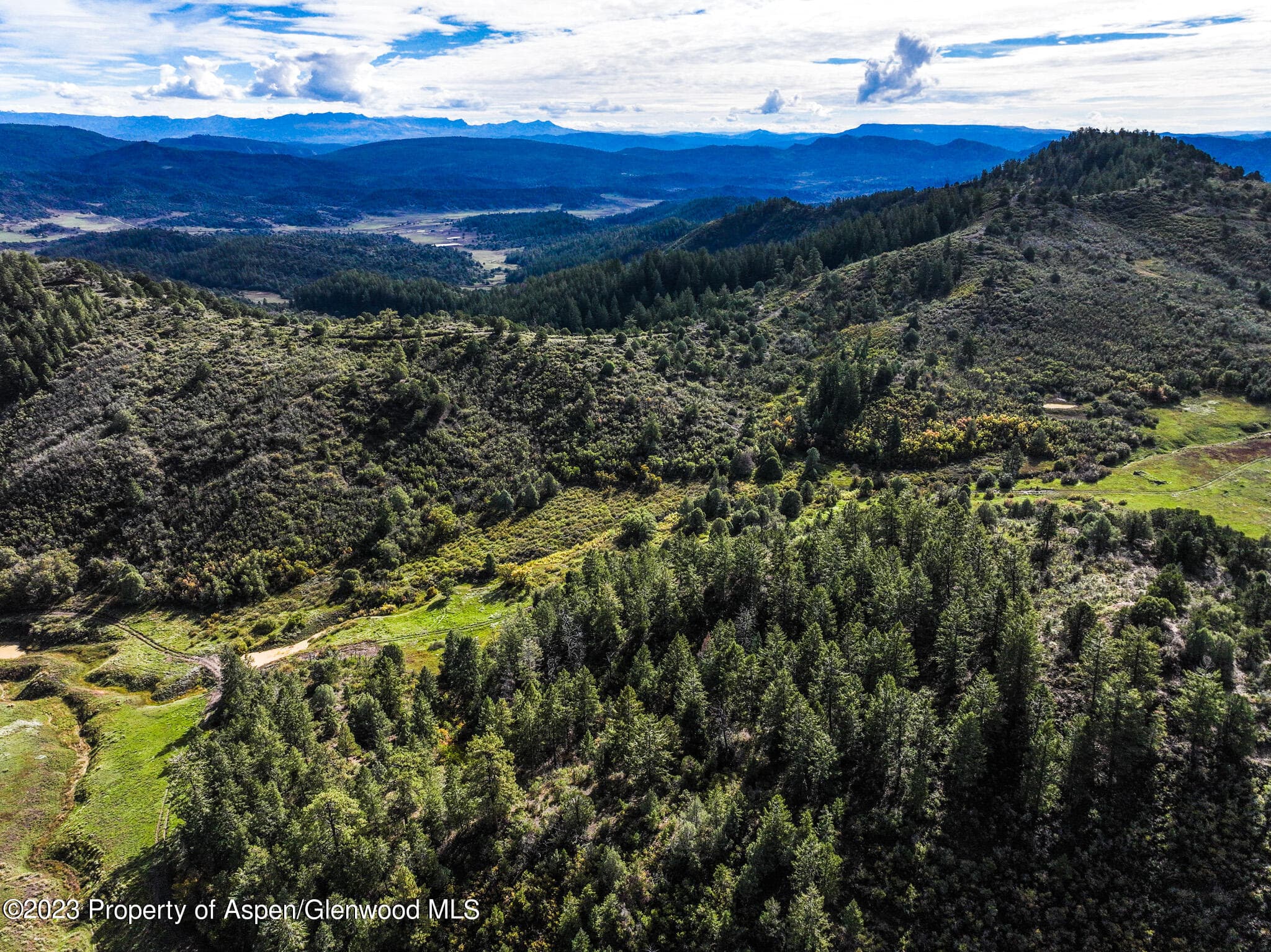 TBD 700 County Road Cat Creek Road, Pagosa Springs, CO 81147 - Photo 18