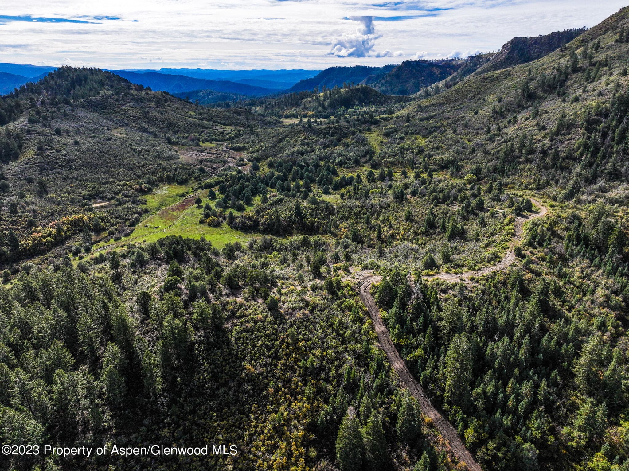 TBD 700 County Road Cat Creek Road, Pagosa Springs, CO 81147 - Photo 19