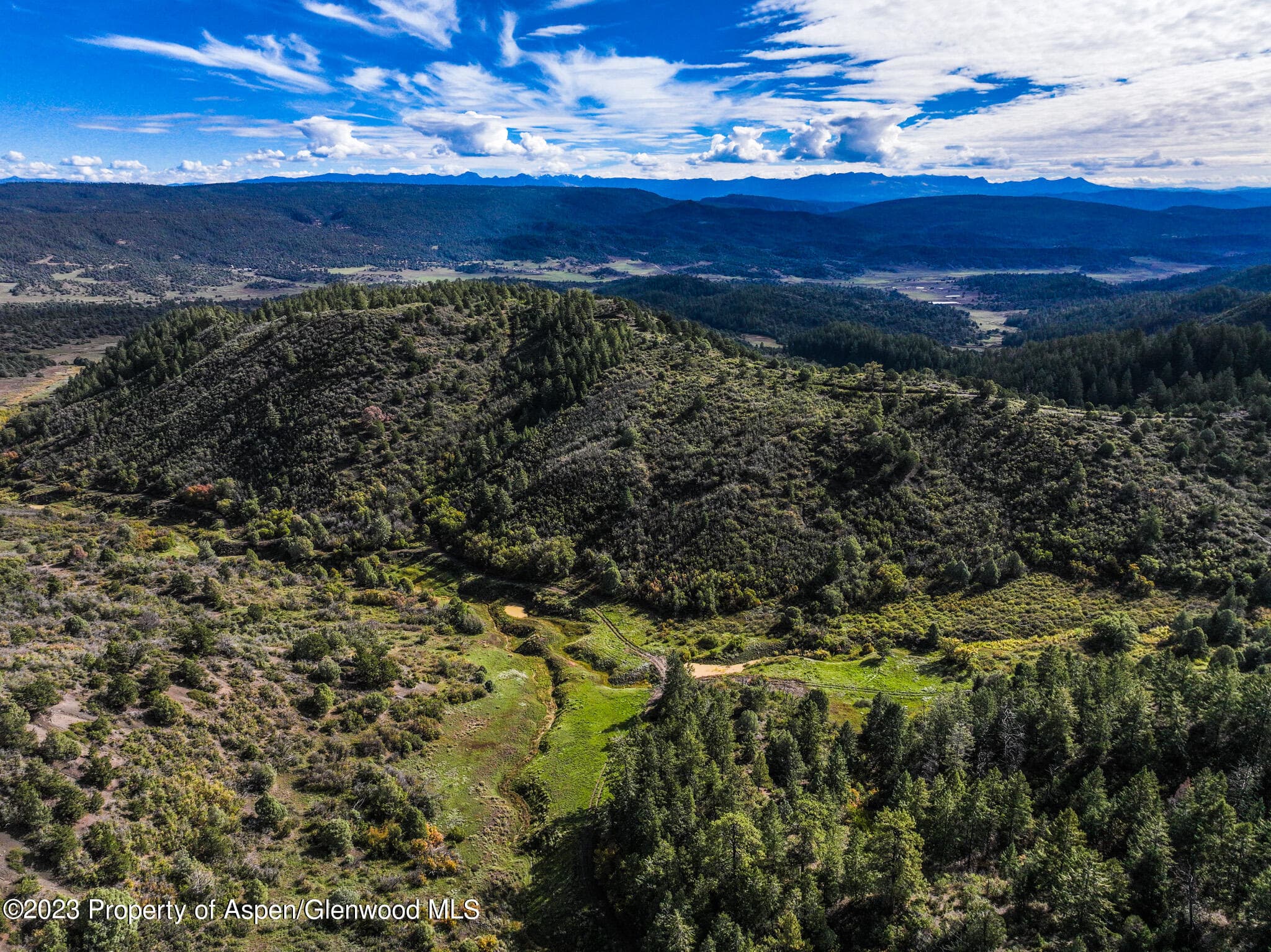 TBD 700 County Road Cat Creek Road, Pagosa Springs, CO 81147 - Photo 20