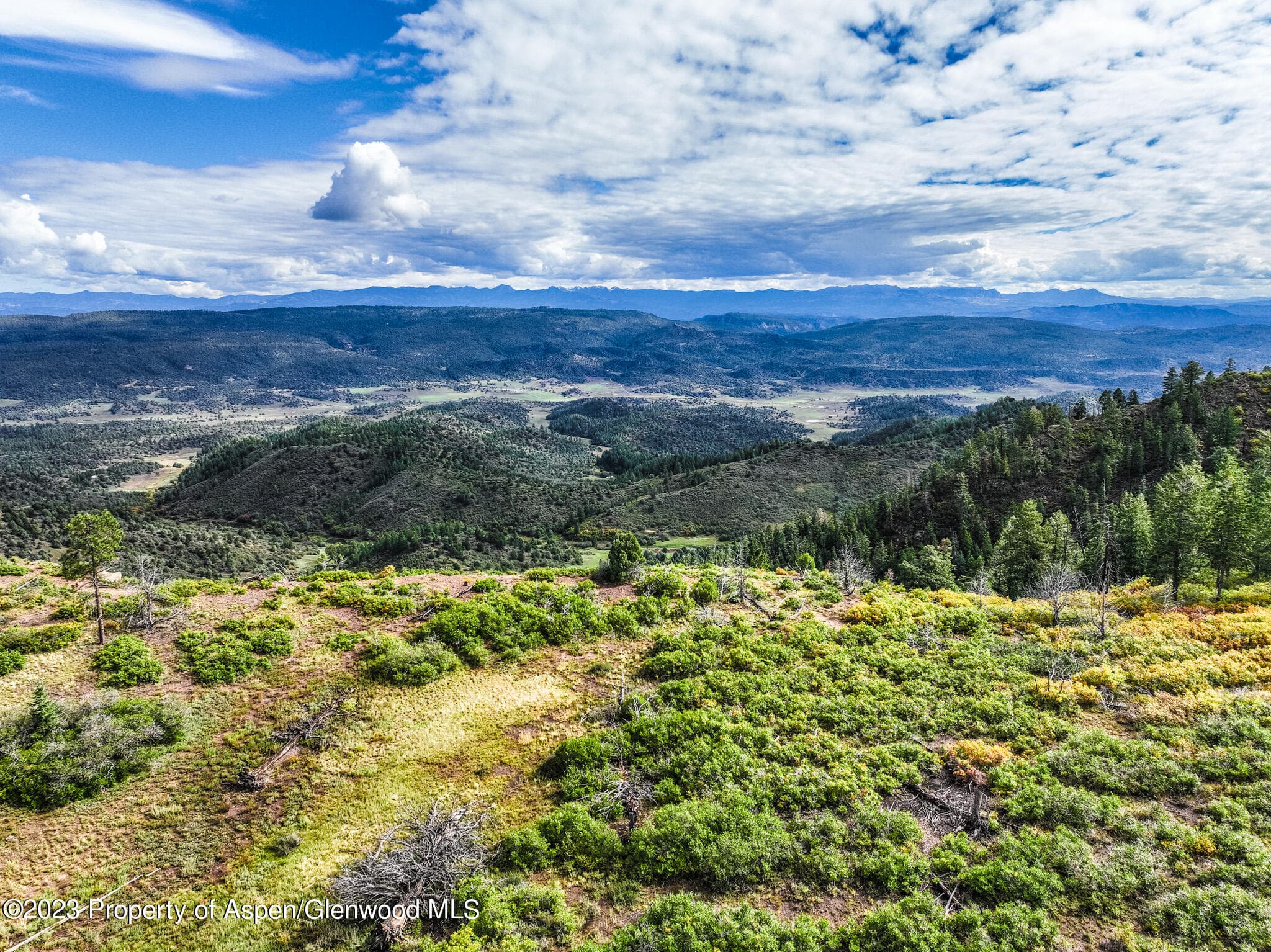 TBD 700 County Road Cat Creek Road, Pagosa Springs, CO 81147 - Photo 22