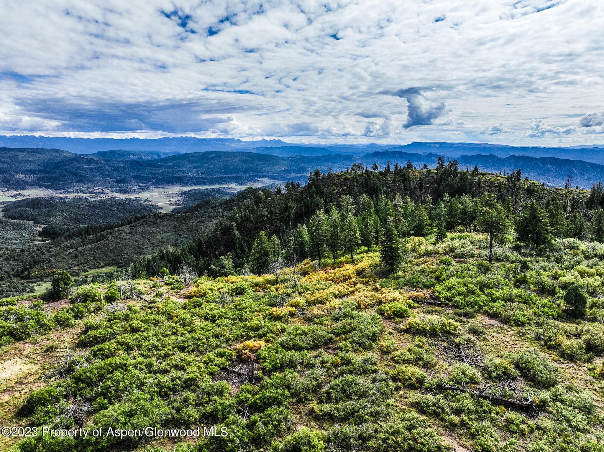 TBD 700 County Road Cat Creek Road, Pagosa Springs, CO 81147 - Photo 23