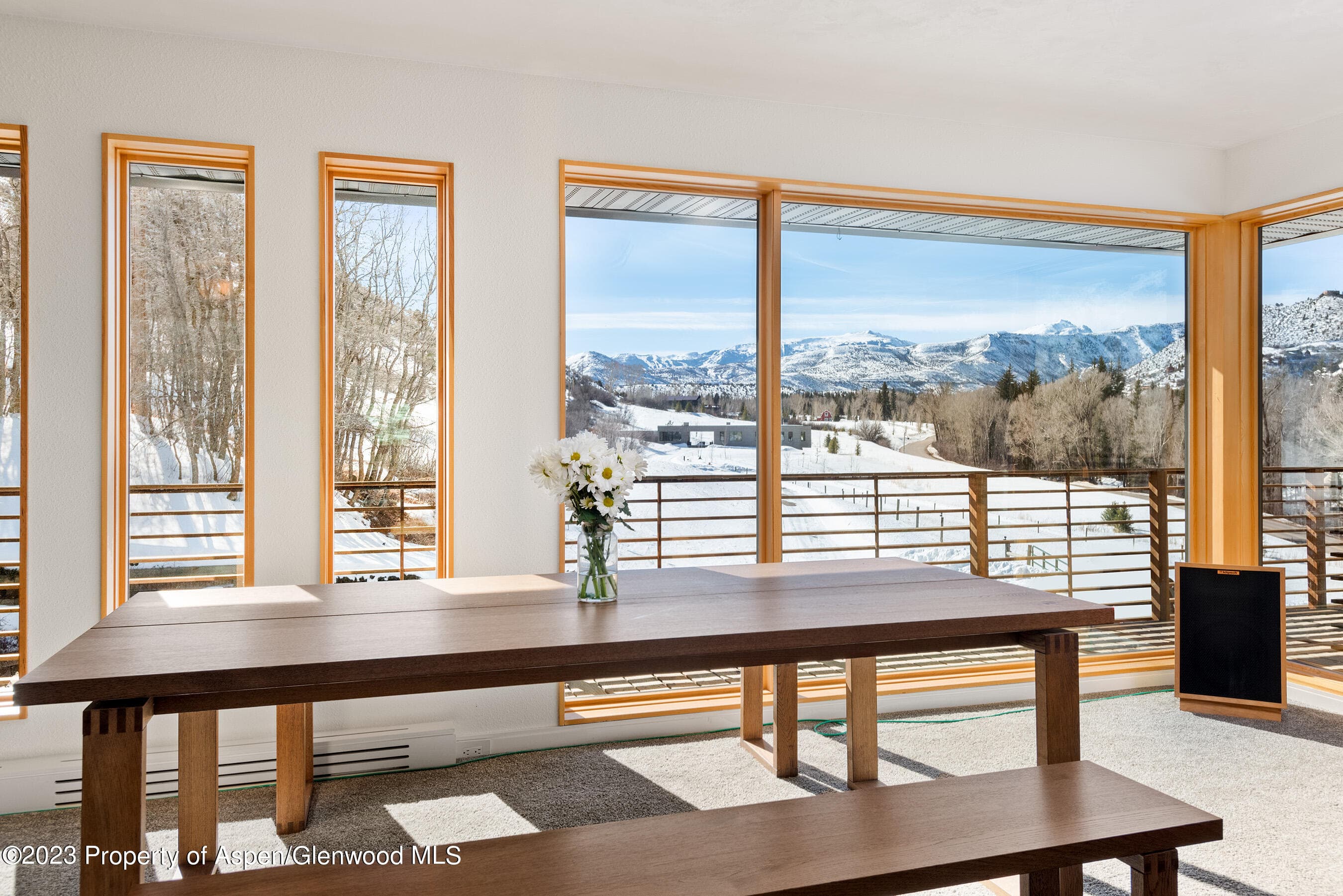 876 Snowmass Creek Road, Snowmass, CO 81654 - Photo 14