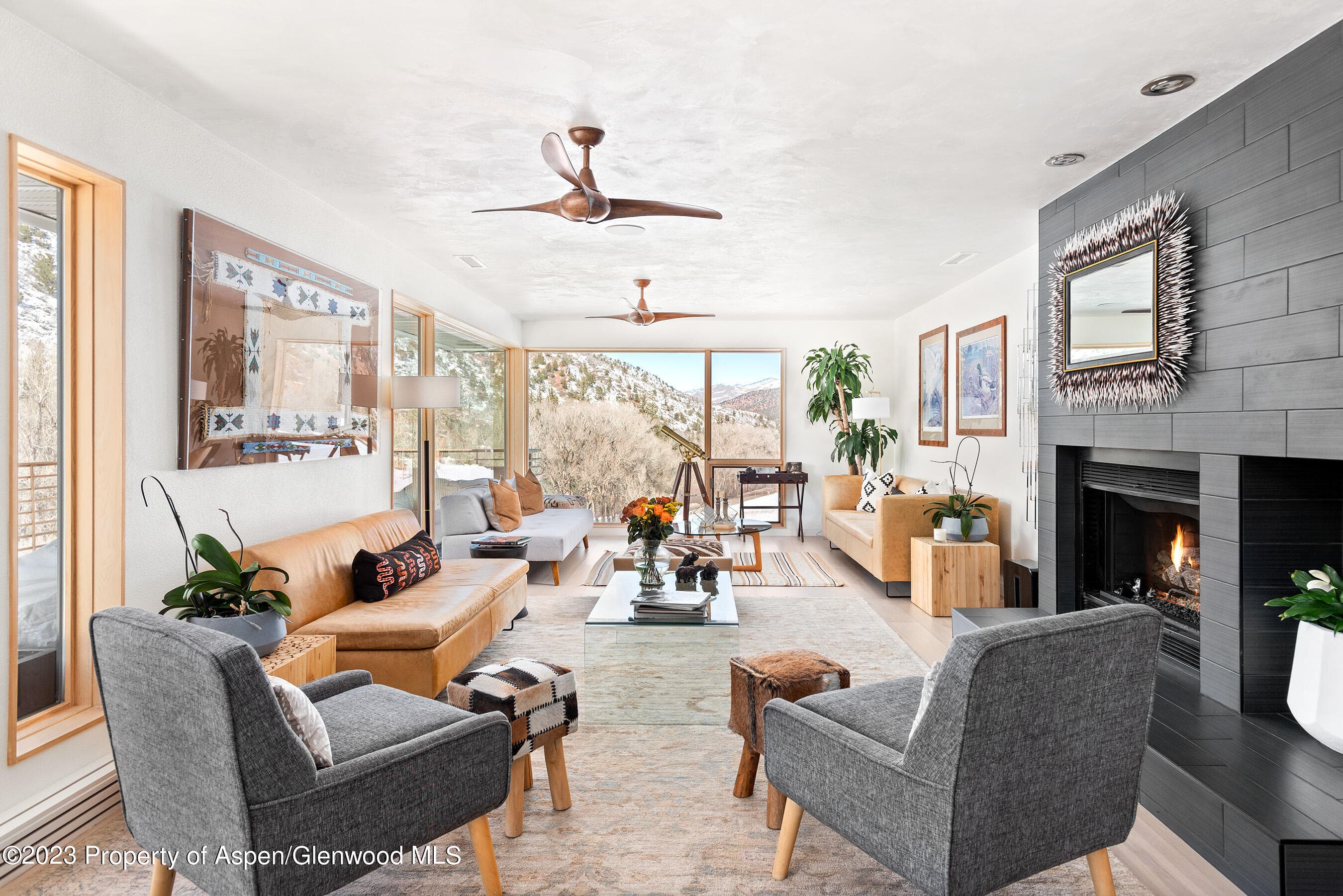 876 Snowmass Creek Road, Snowmass, CO 81654 - Photo 5