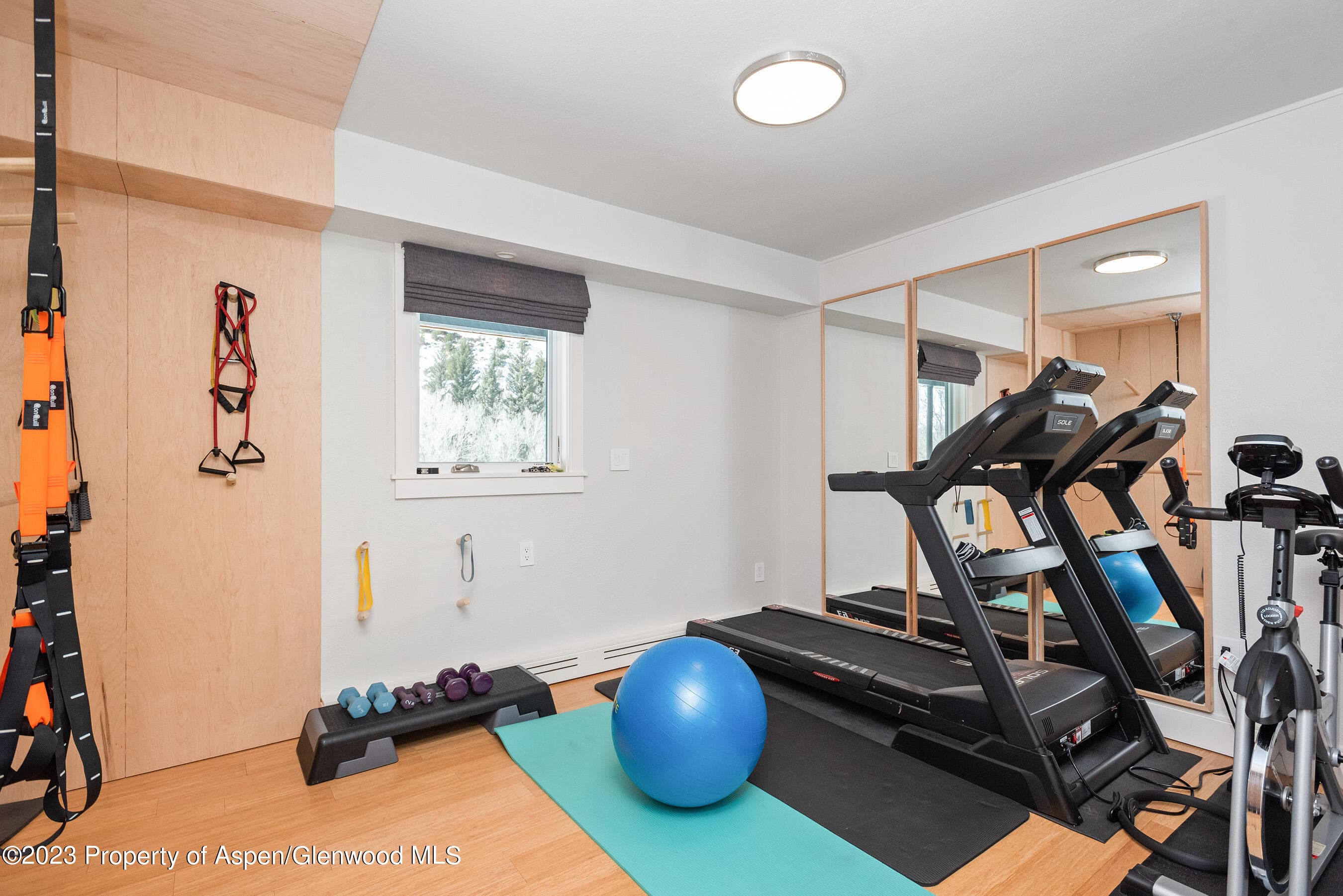 876 Snowmass Creek Road, Snowmass, CO 81654 - Photo 35