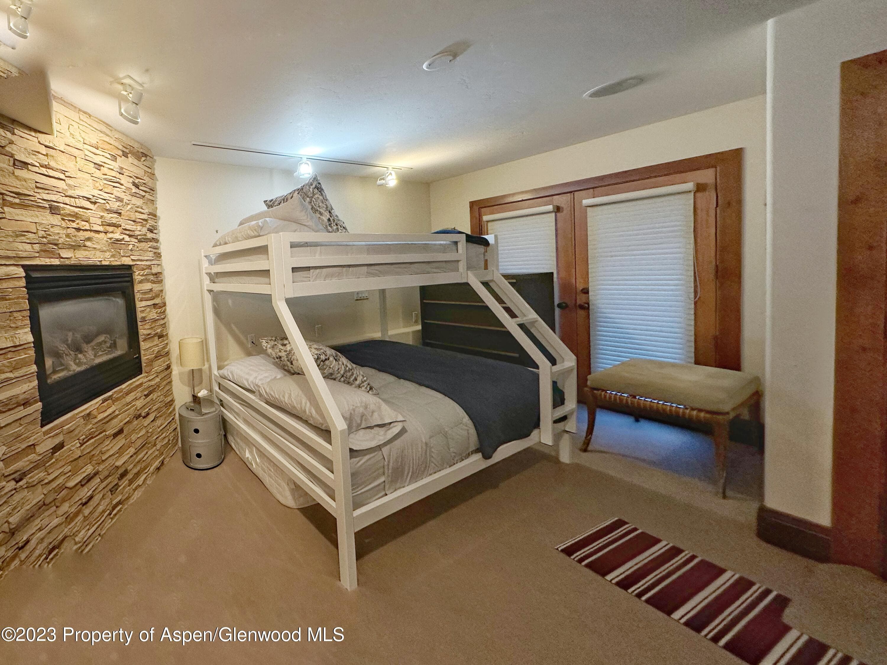 107 Aspen Mountain Road 5, Aspen, CO 81611 - Photo 9