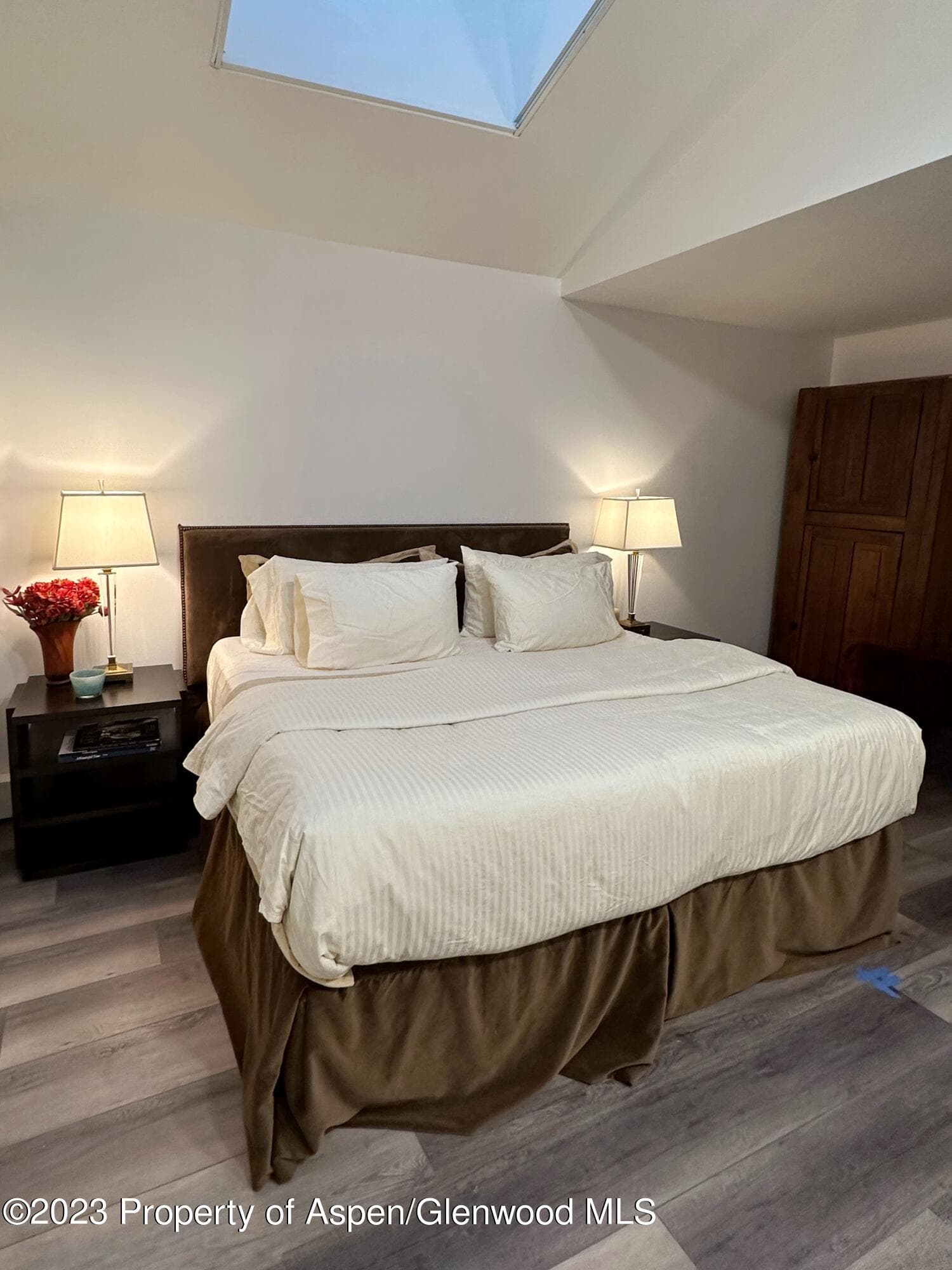 107 Aspen Mountain Road 5, Aspen, CO 81611 - Photo 6