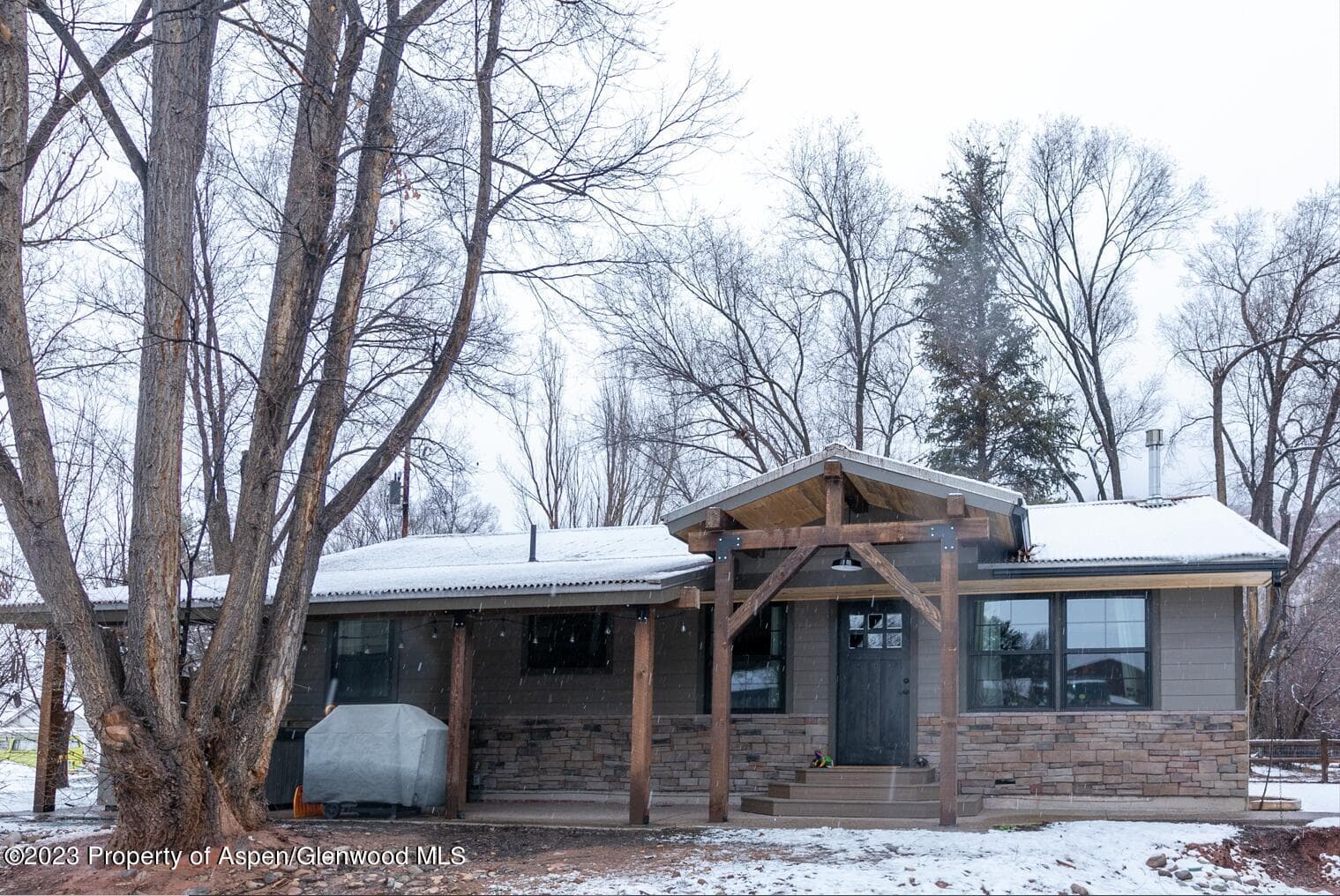 51 Sopris Avenue, Carbondale, CO 81623 - Photo 1