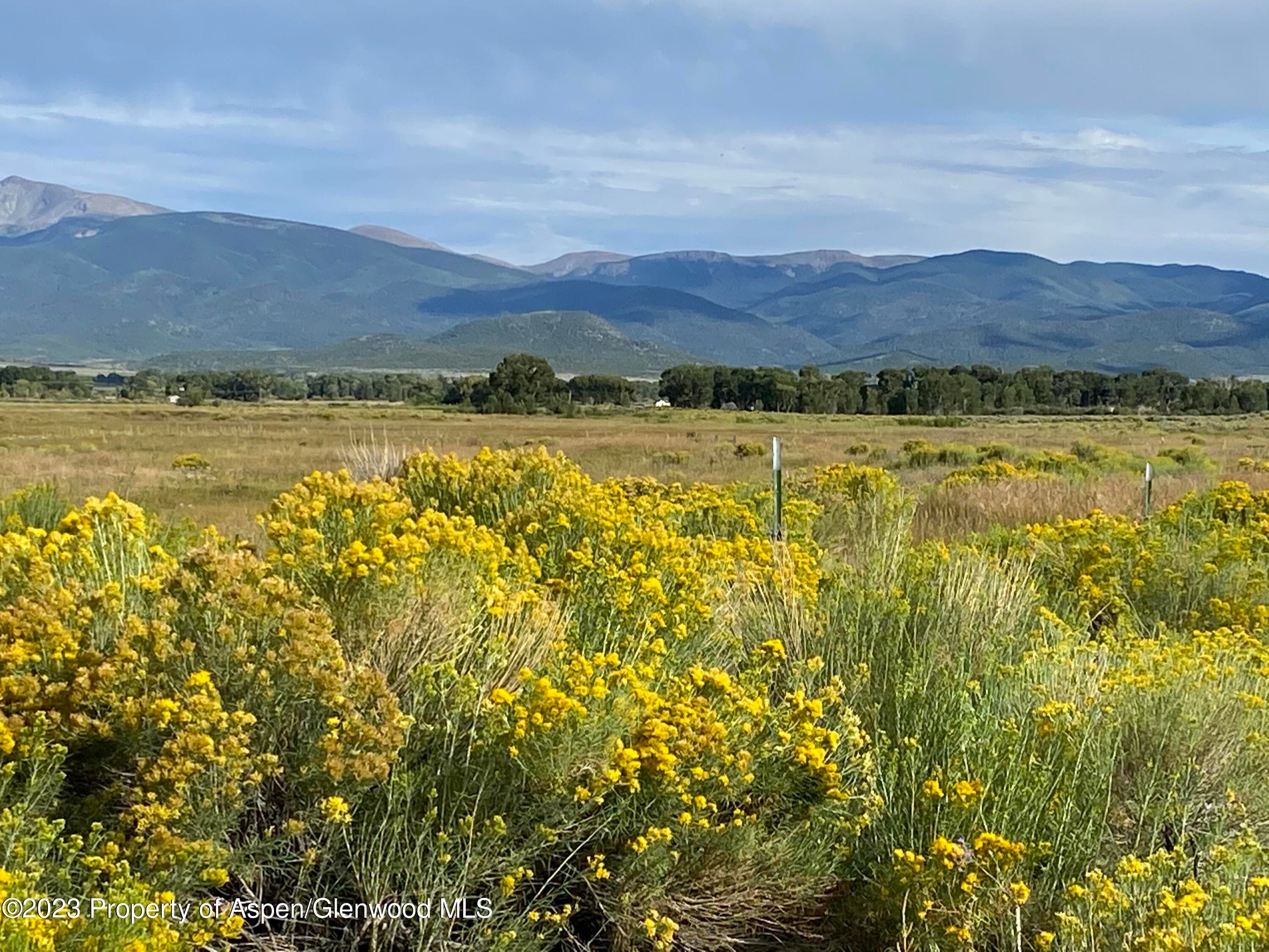 110340 CR 19, San Luis, CO 81522 - Photo 7