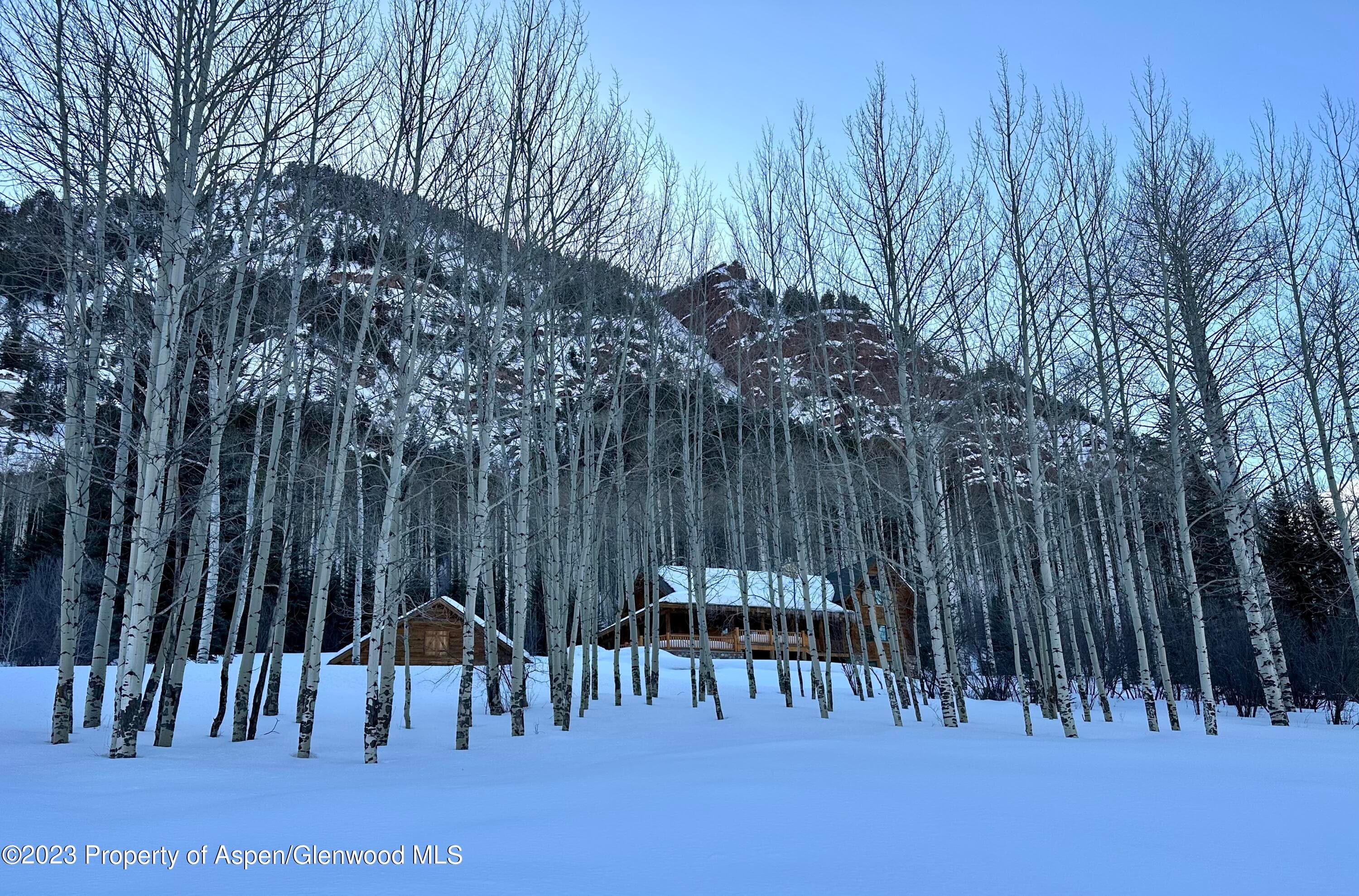 350 Coal Creek Road, Redstone, CO 81623 - Photo 44