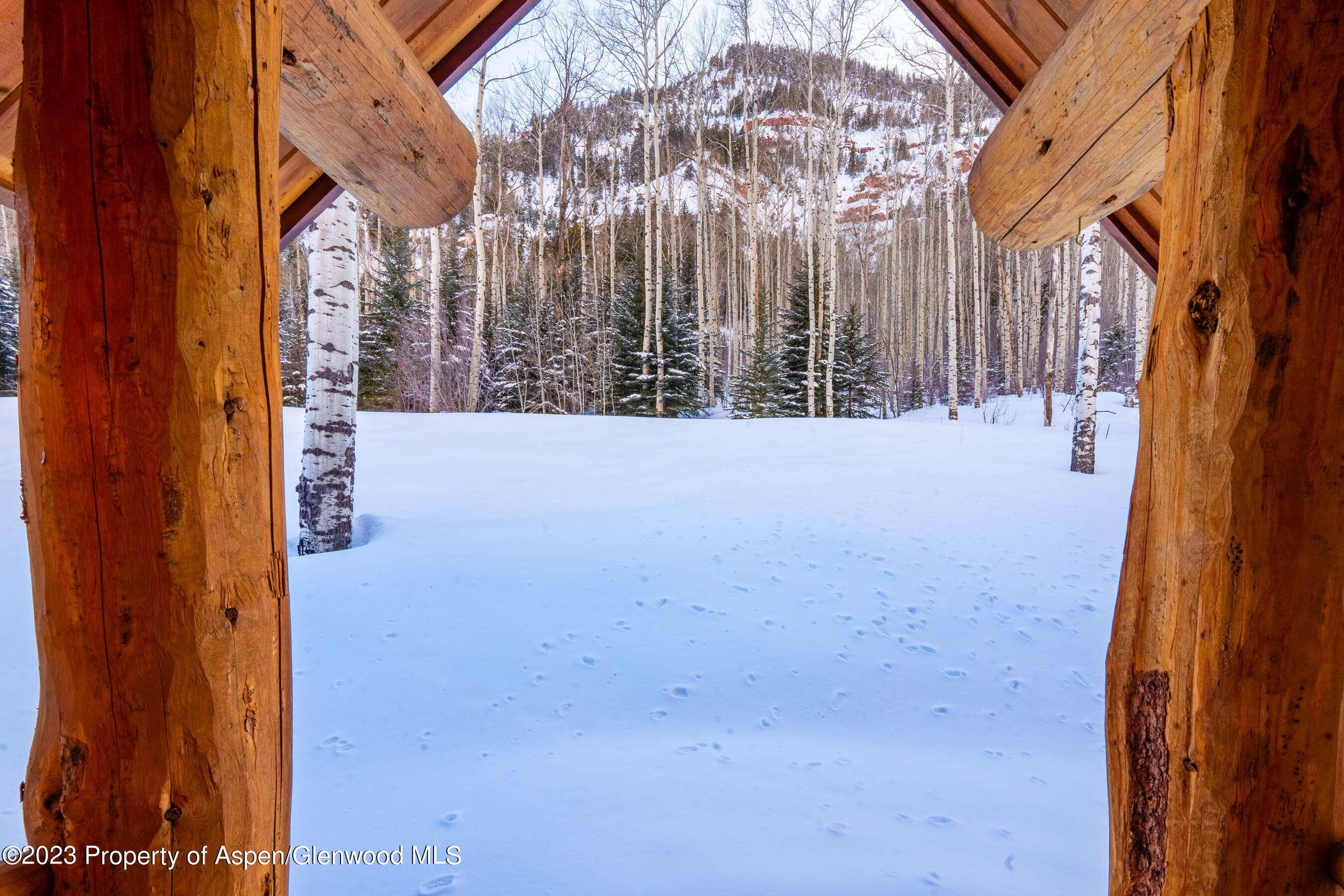 350 Coal Creek Road, Redstone, CO 81623 - Photo 16