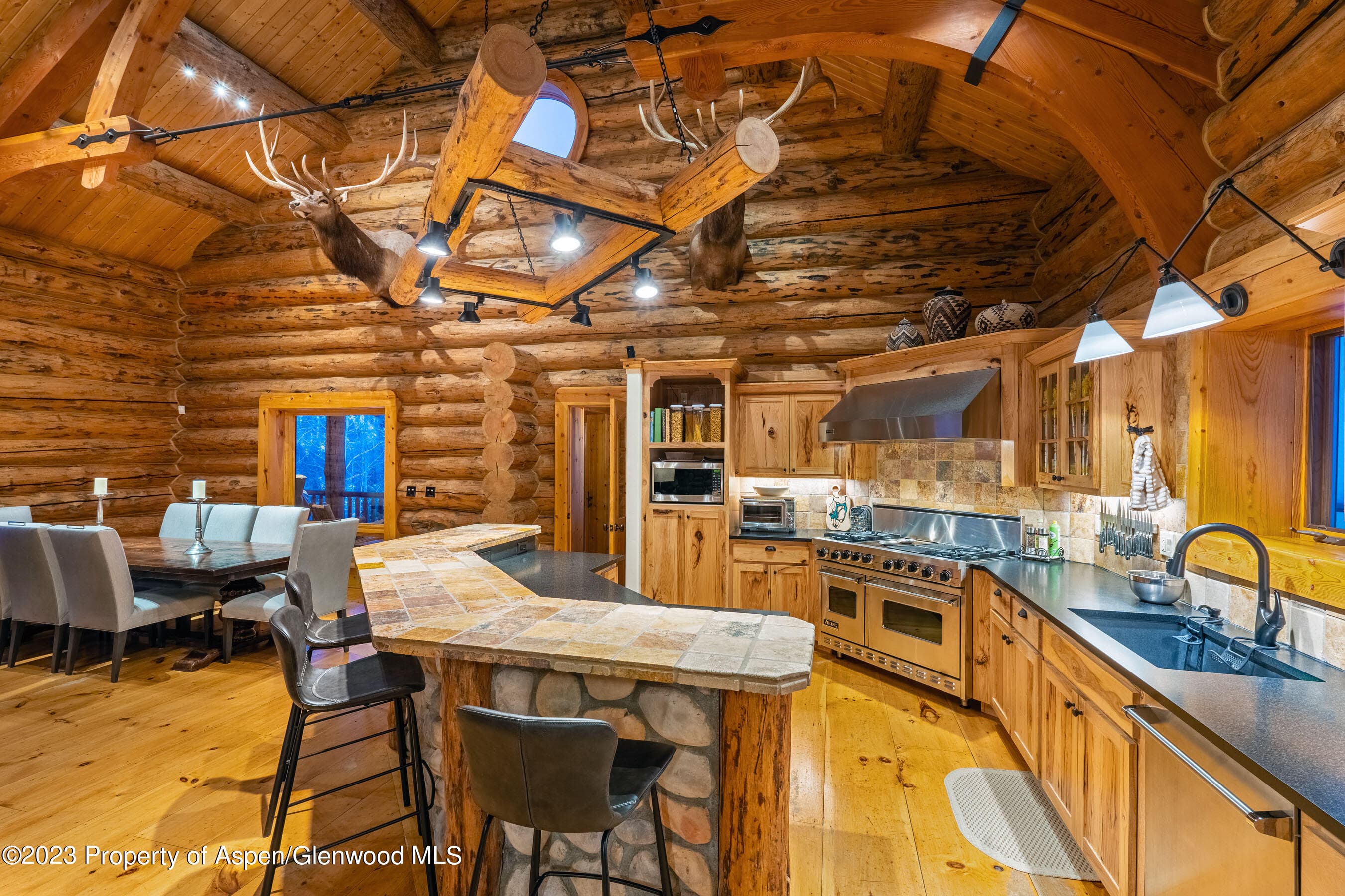 350 Coal Creek Road, Redstone, CO 81623 - Photo 7