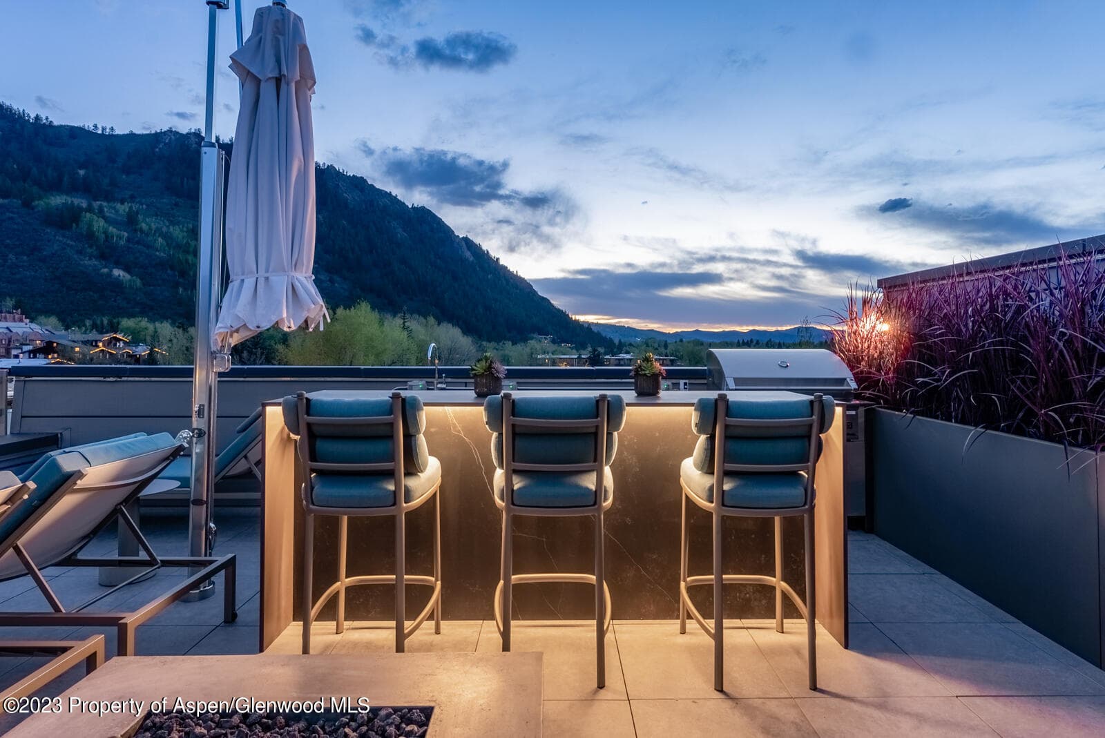 508 E Cooper Avenue 201, Aspen, CO 81611 - Photo 8