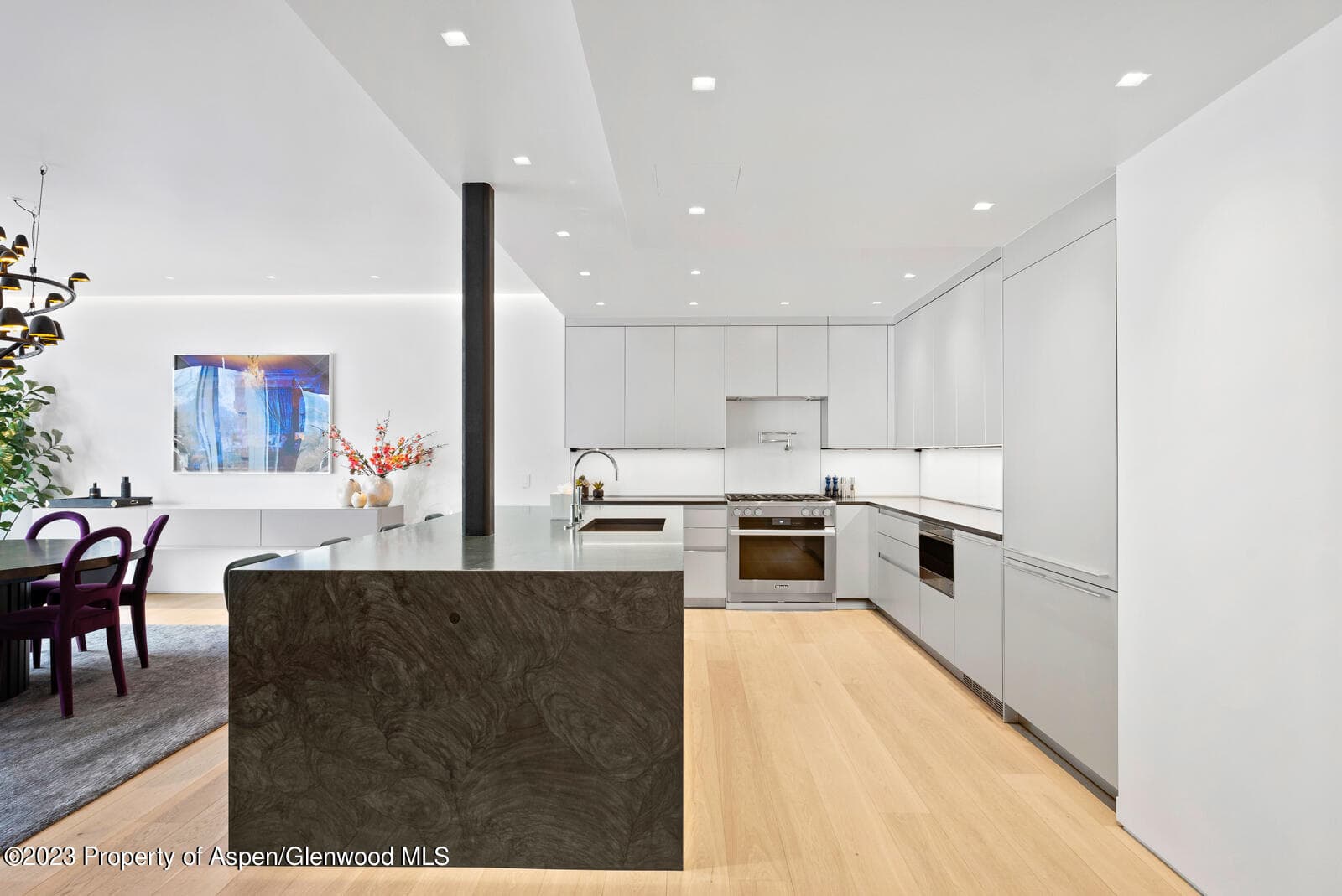 508 E Cooper Avenue 201, Aspen, CO 81611 - Photo 9