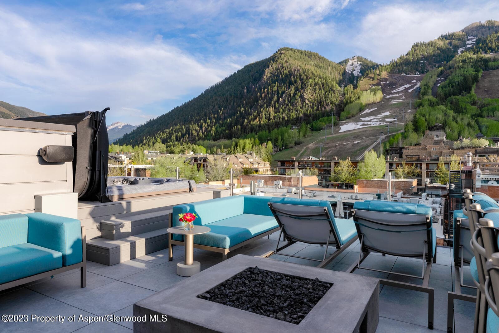 508 E Cooper Avenue 201, Aspen, CO 81611 - Photo 18