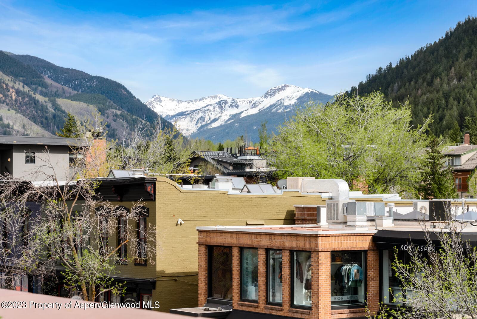 508 E Cooper Avenue 201, Aspen, CO 81611 - Photo 26