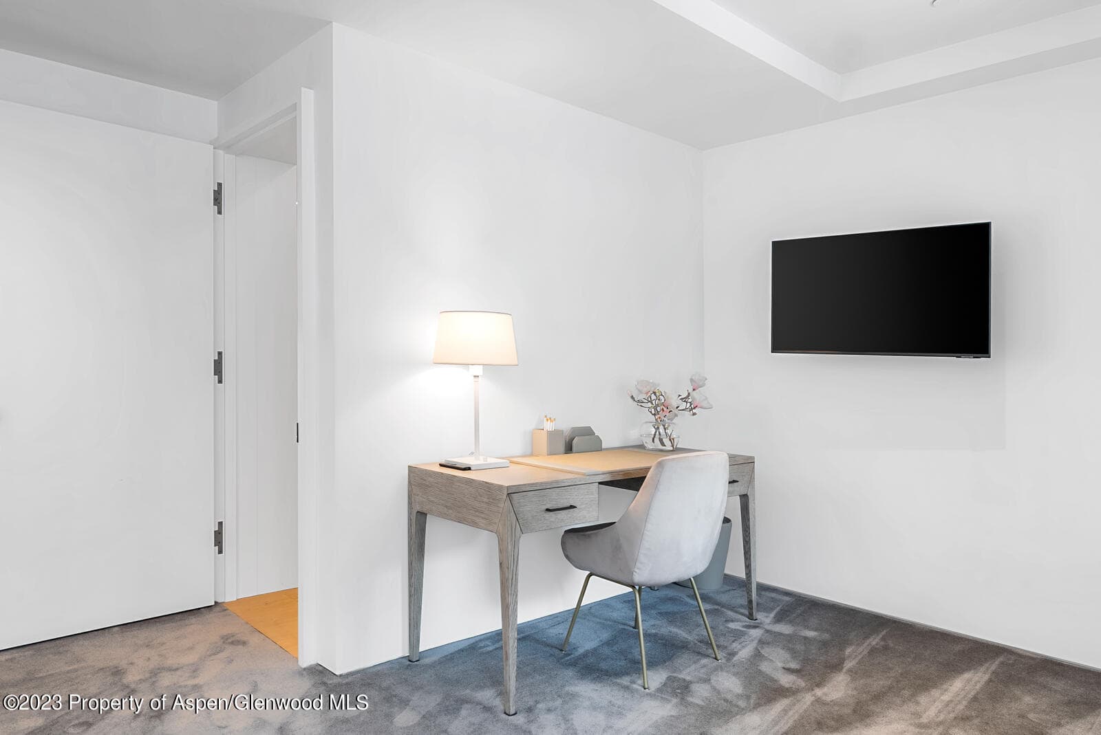 508 E Cooper Avenue 201, Aspen, CO 81611 - Photo 33