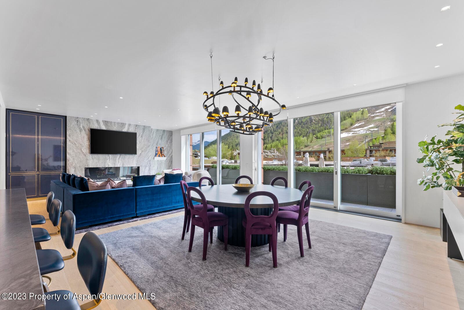 508 E Cooper Avenue 201, Aspen, CO 81611 - Photo 34