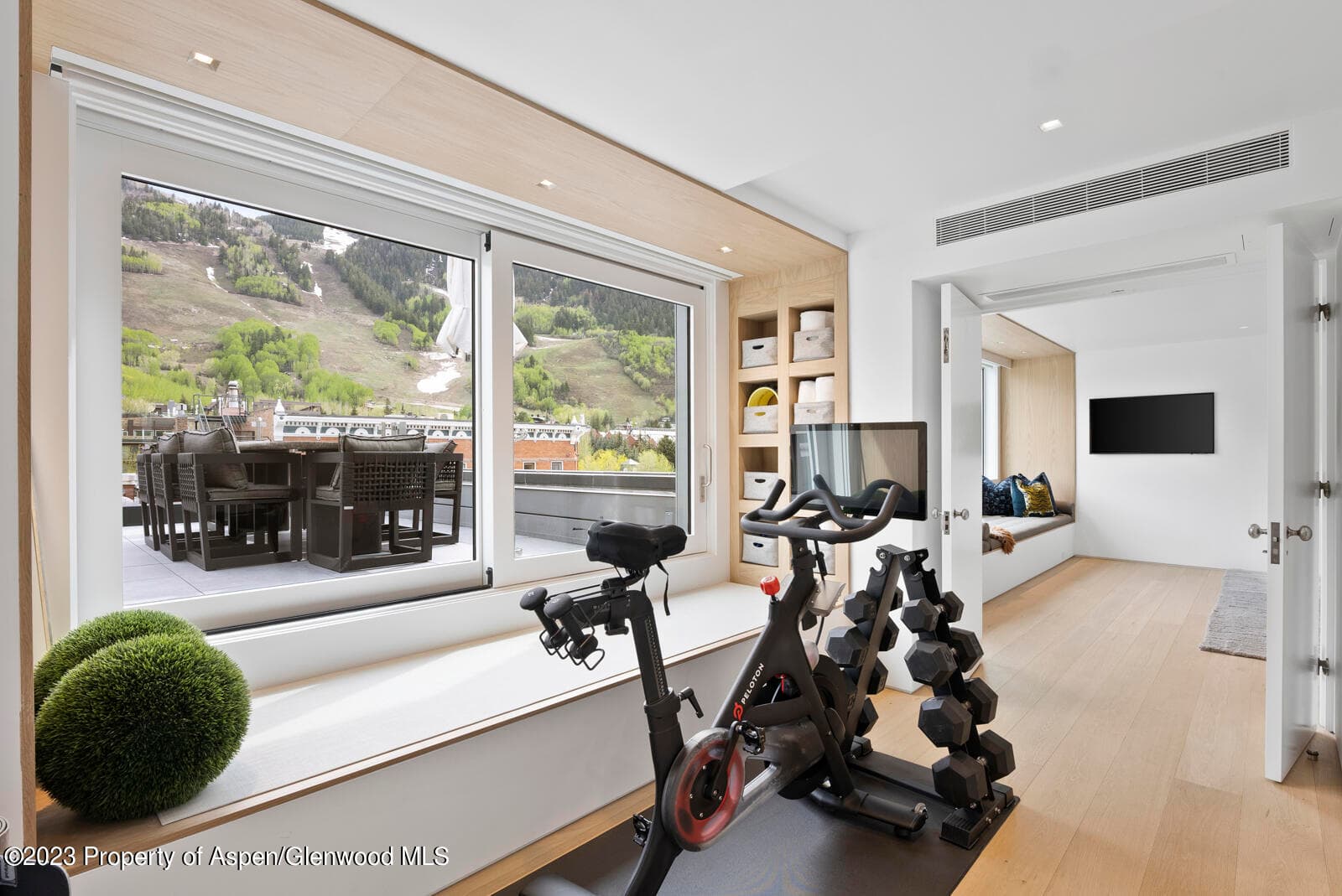 508 E Cooper Avenue 201, Aspen, CO 81611 - Photo 50