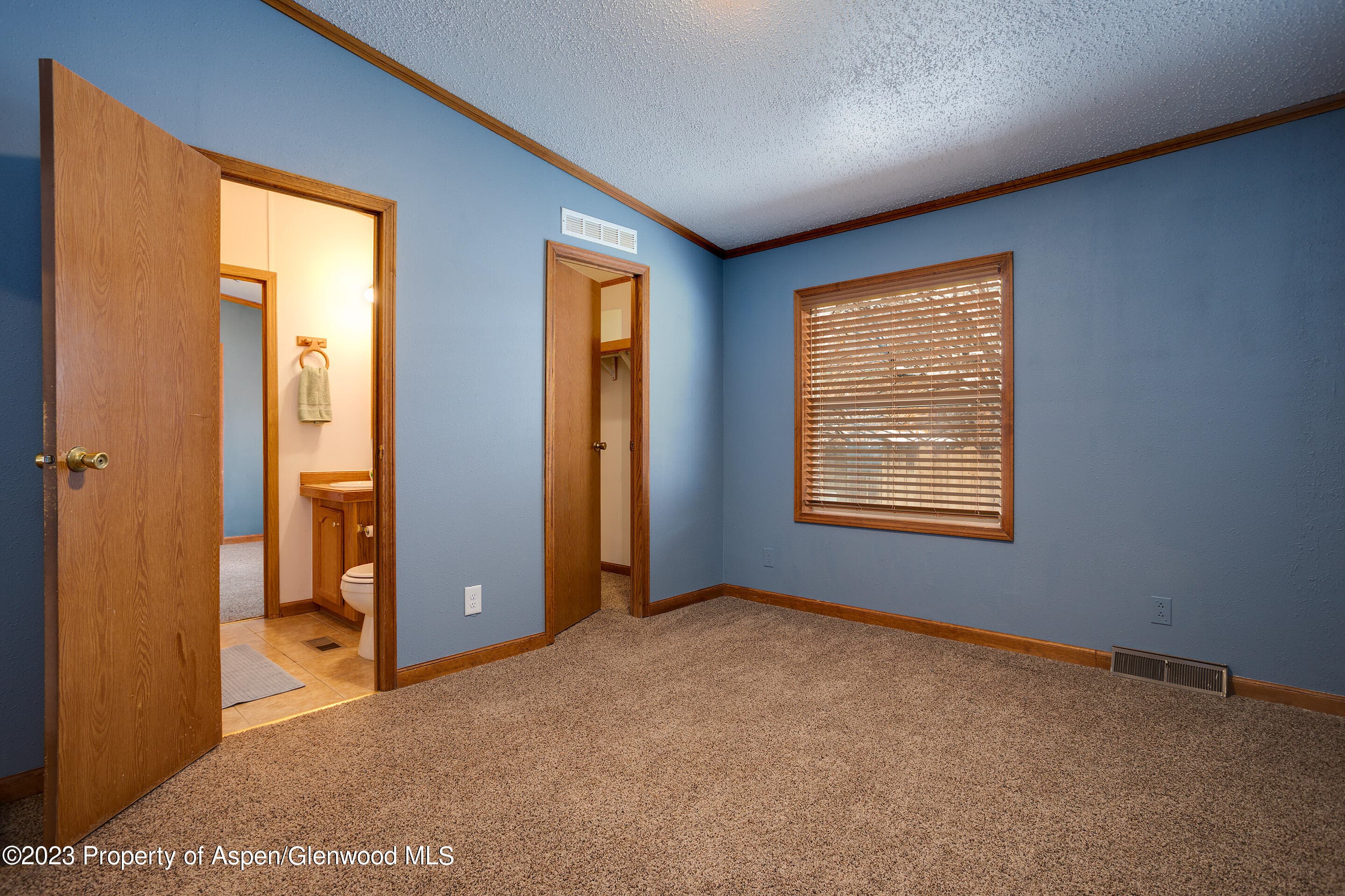 528 E WASHINGTON Avenue, Hayden, CO 81639 - Photo 20
