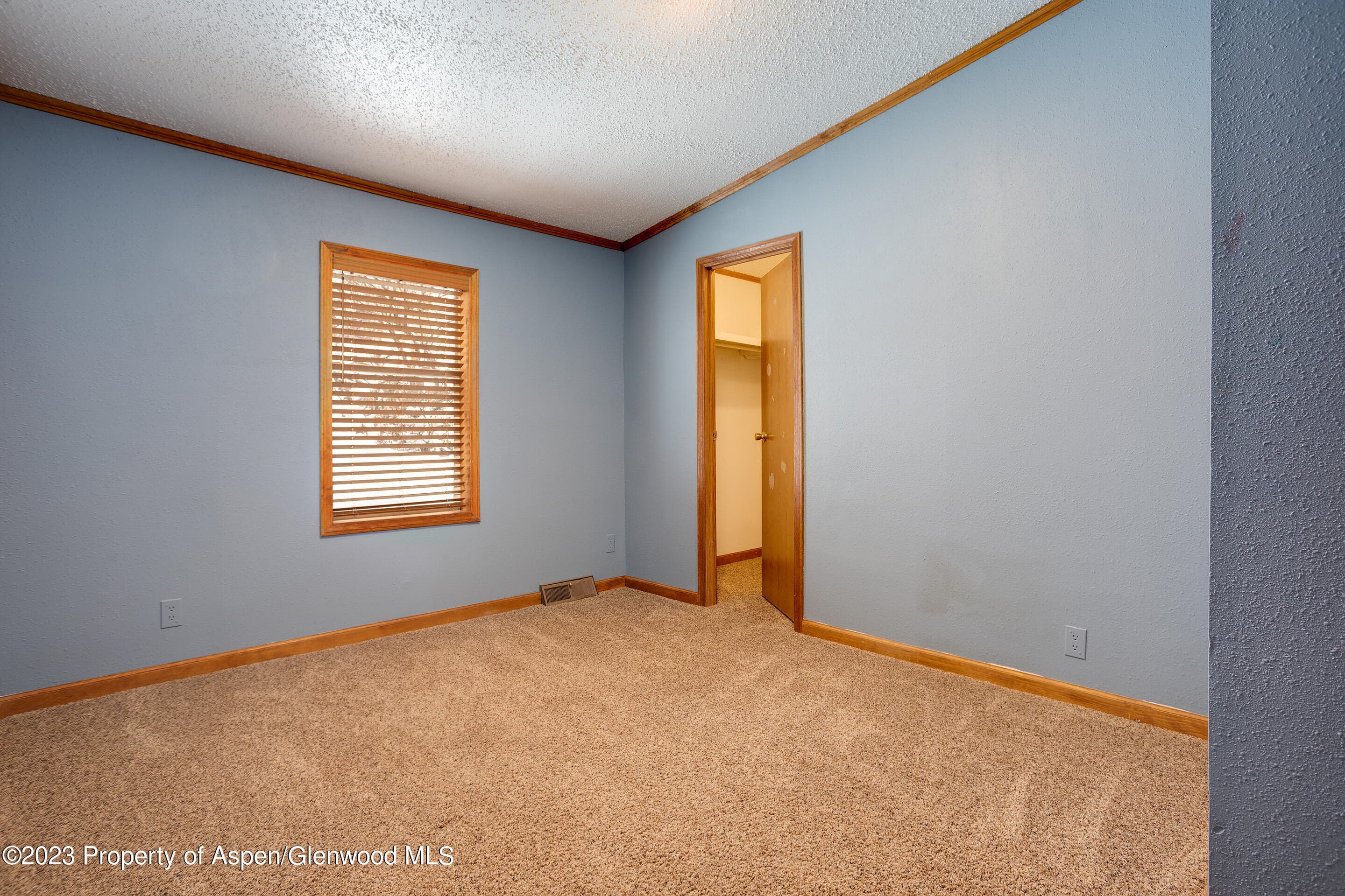 528 E WASHINGTON Avenue, Hayden, CO 81639 - Photo 21