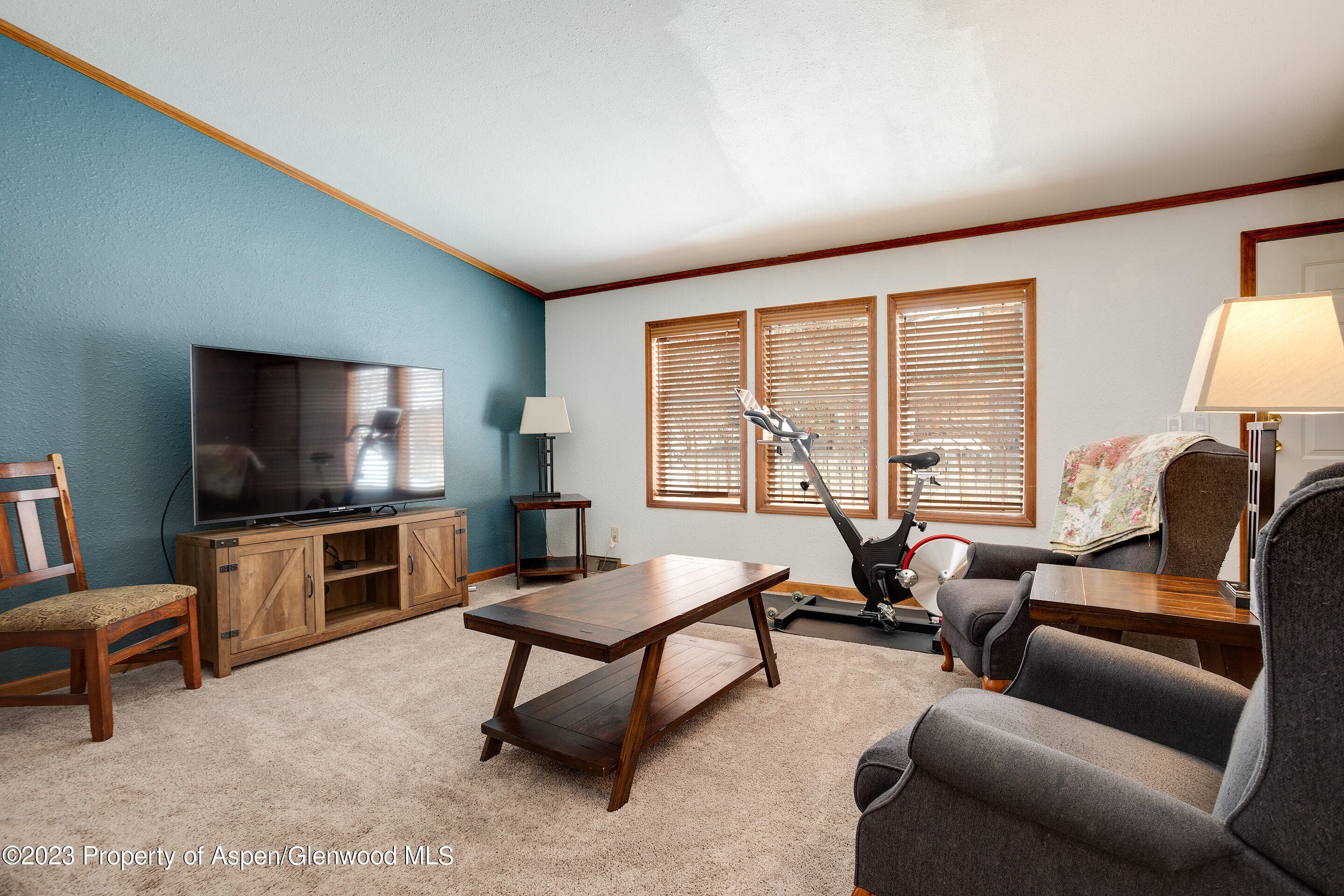 528 E WASHINGTON Avenue, Hayden, CO 81639 - Photo 12