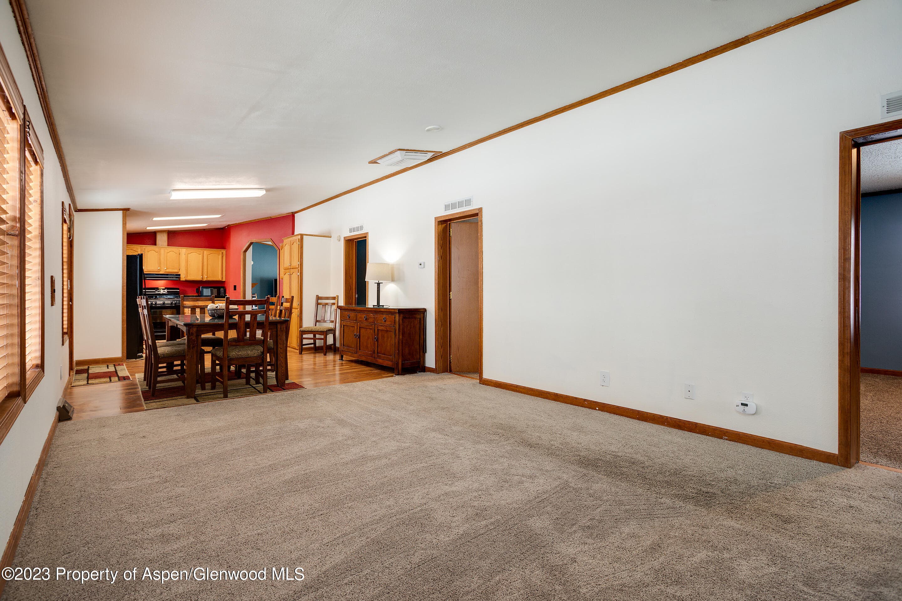 528 E WASHINGTON Avenue, Hayden, CO 81639 - Photo 9