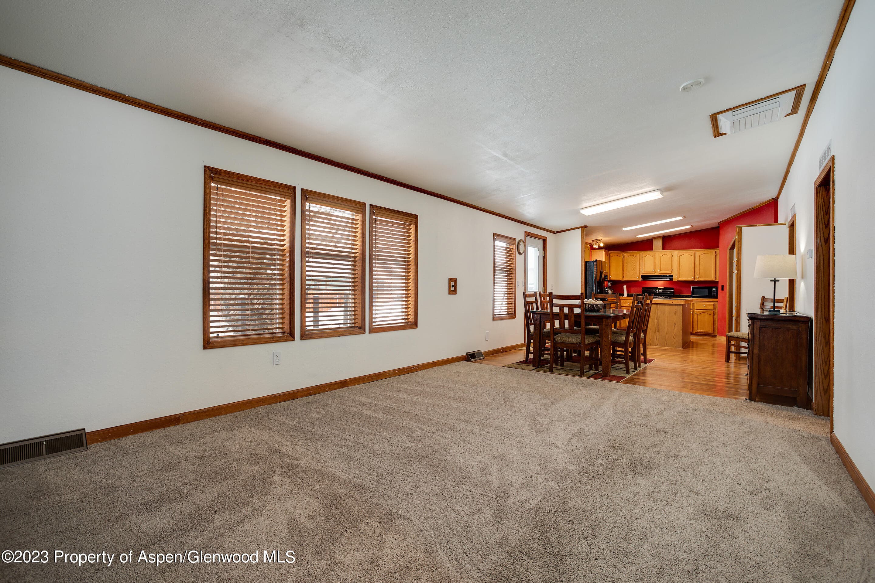 528 E WASHINGTON Avenue, Hayden, CO 81639 - Photo 10
