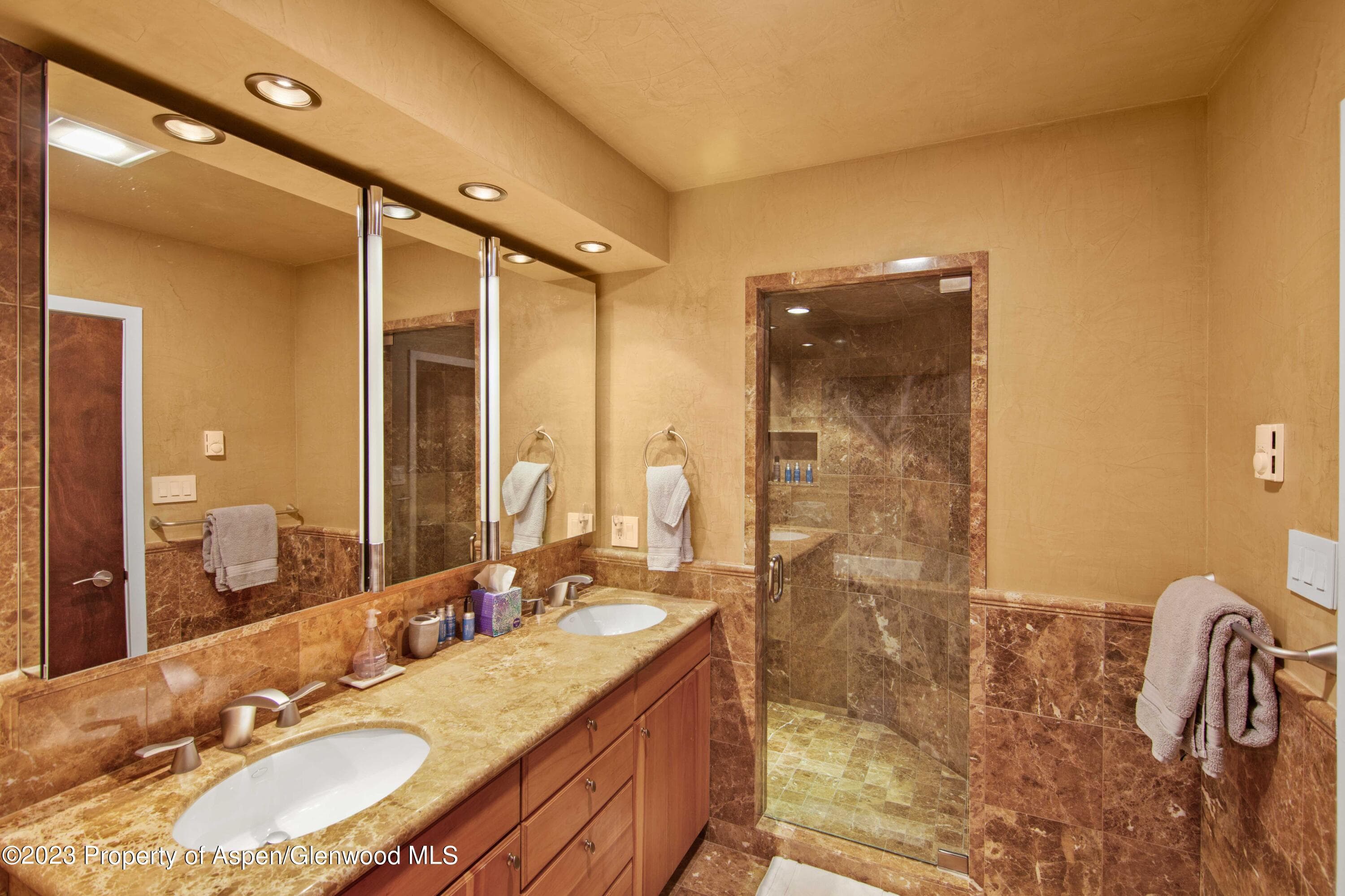 702 E Hyman Avenue, Aspen, CO 81611 - Photo 13