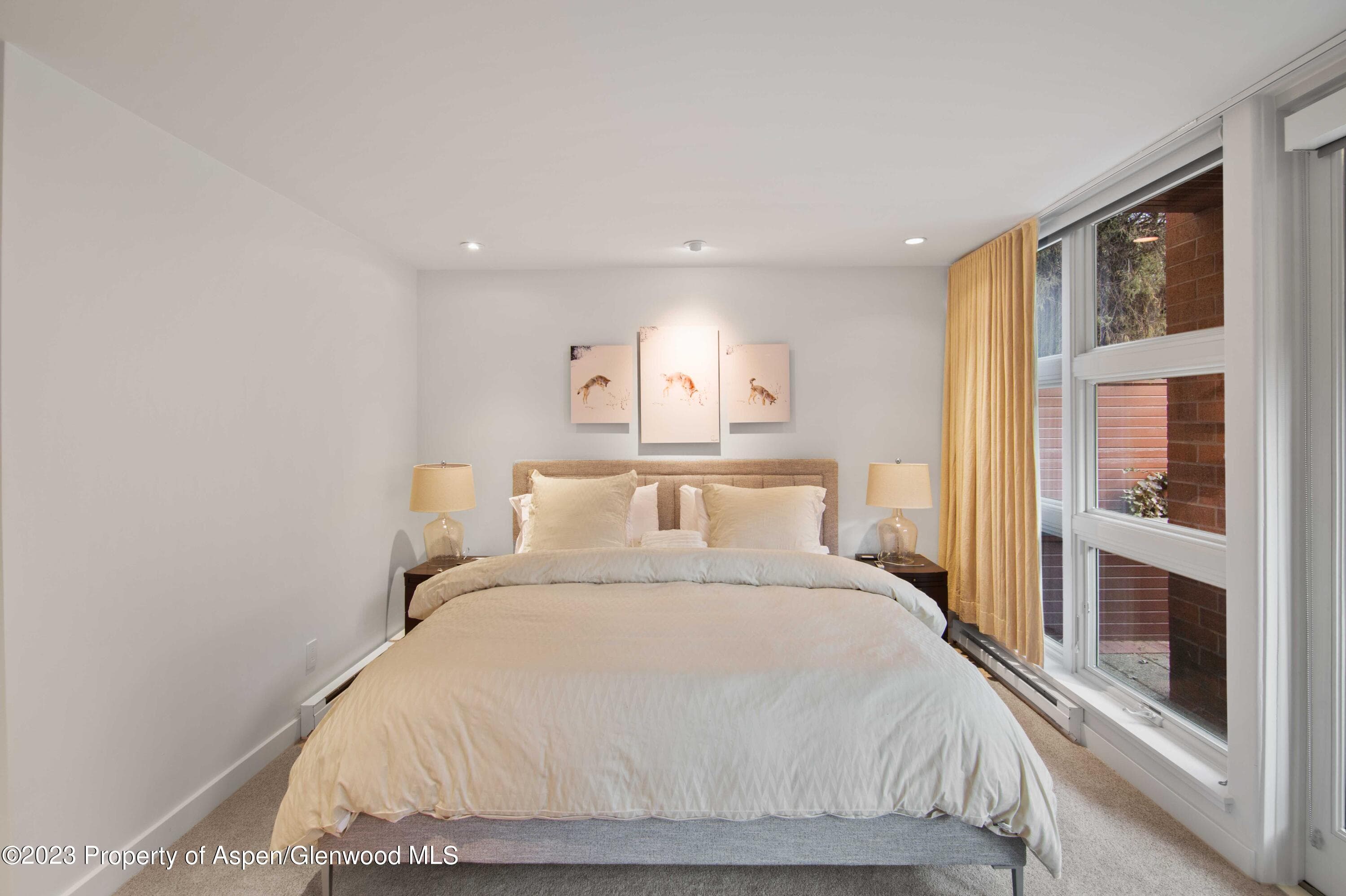 702 E Hyman Avenue, Aspen, CO 81611 - Photo 14