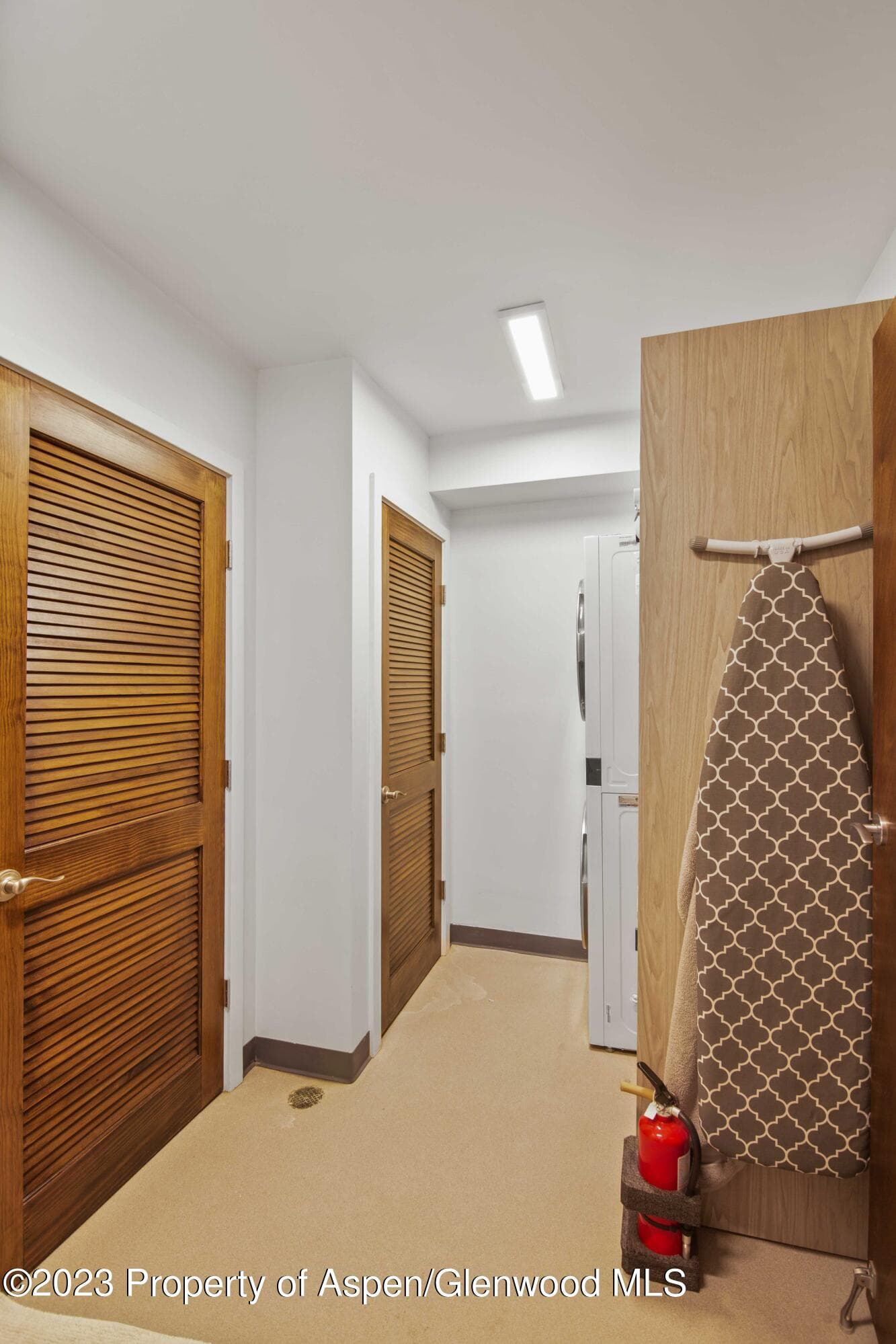 702 E Hyman Avenue, Aspen, CO 81611 - Photo 15