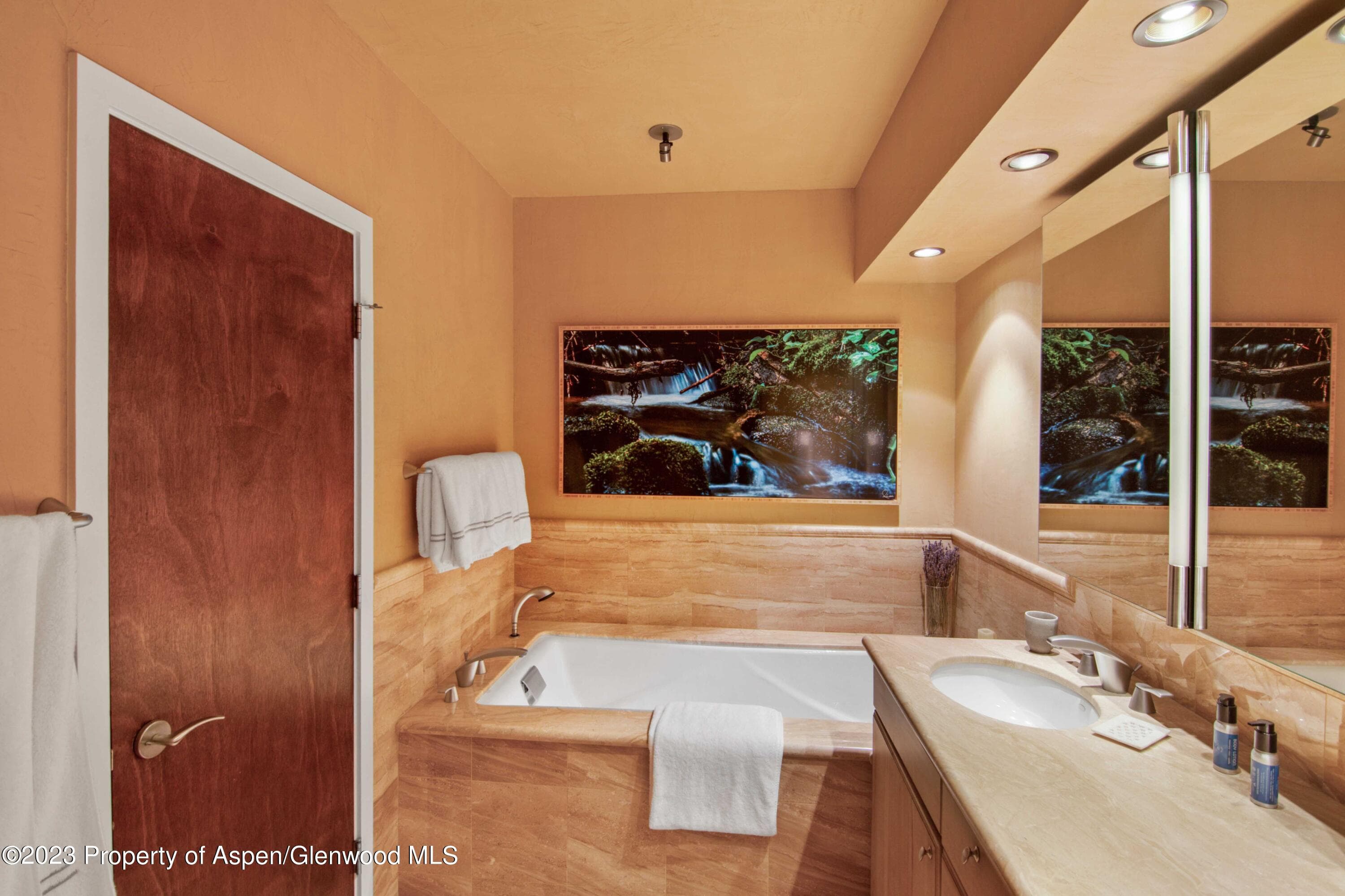 702 E Hyman Avenue, Aspen, CO 81611 - Photo 17