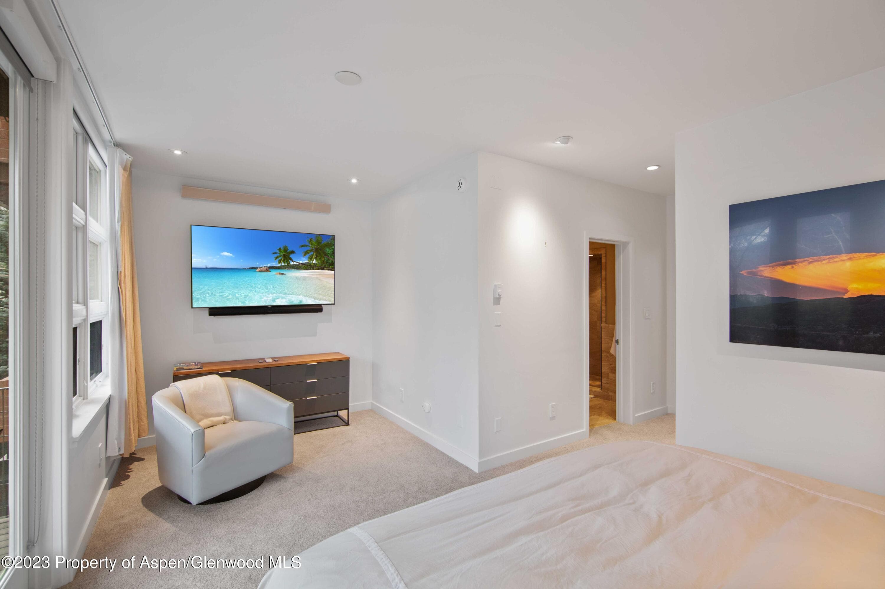 702 E Hyman Avenue, Aspen, CO 81611 - Photo 20