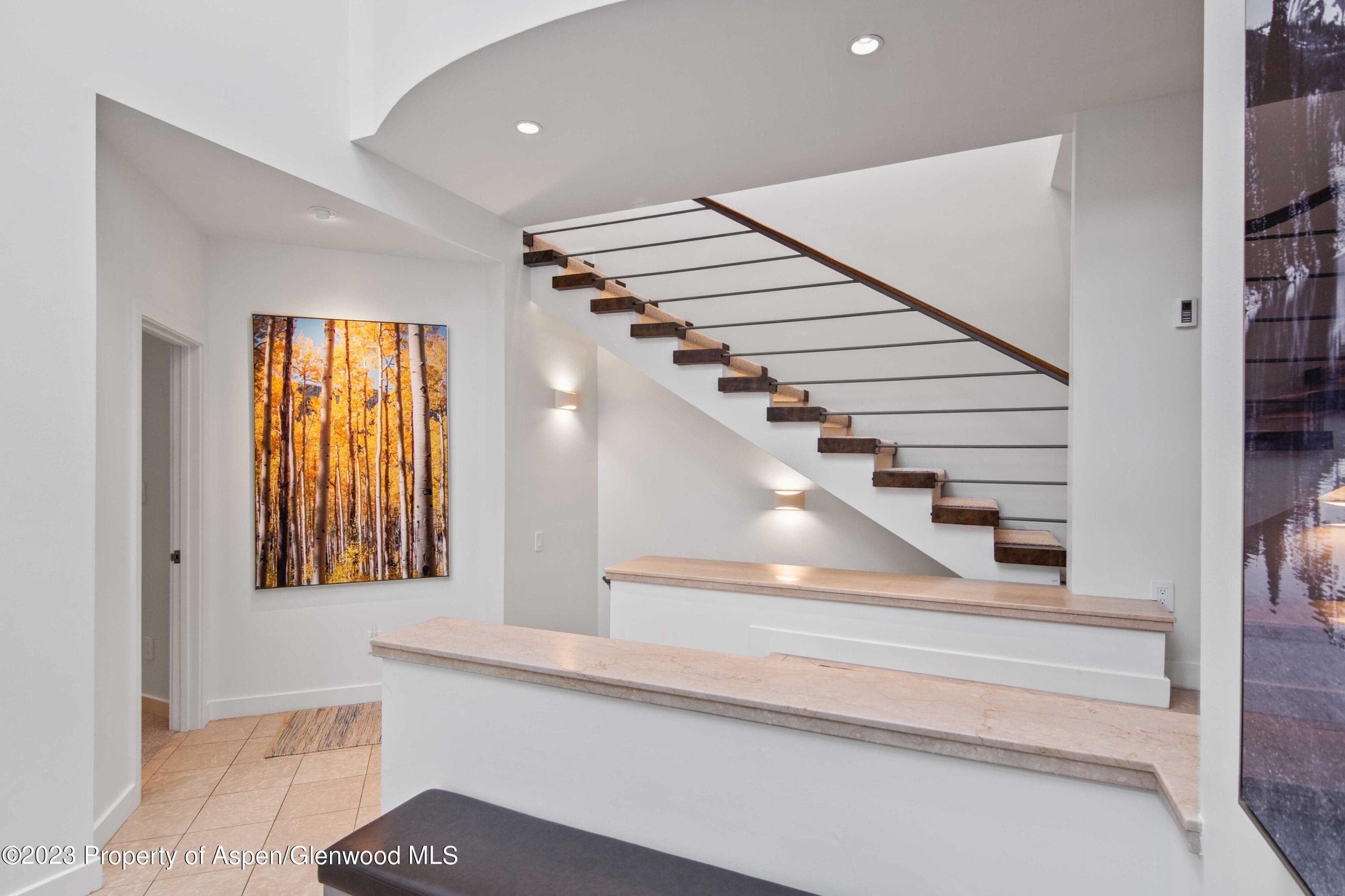 702 E Hyman Avenue, Aspen, CO 81611 - Photo 21