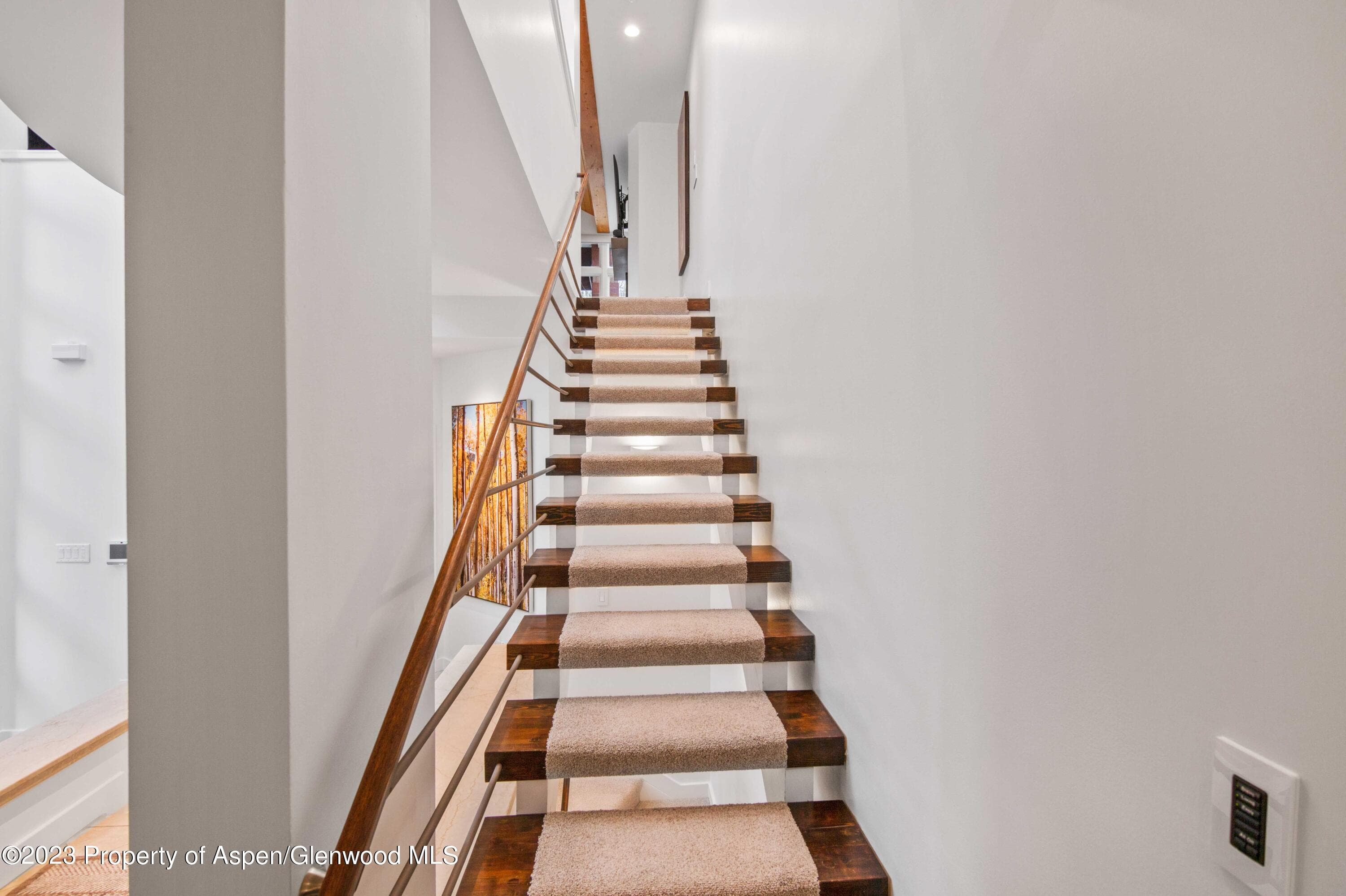 702 E Hyman Avenue, Aspen, CO 81611 - Photo 26