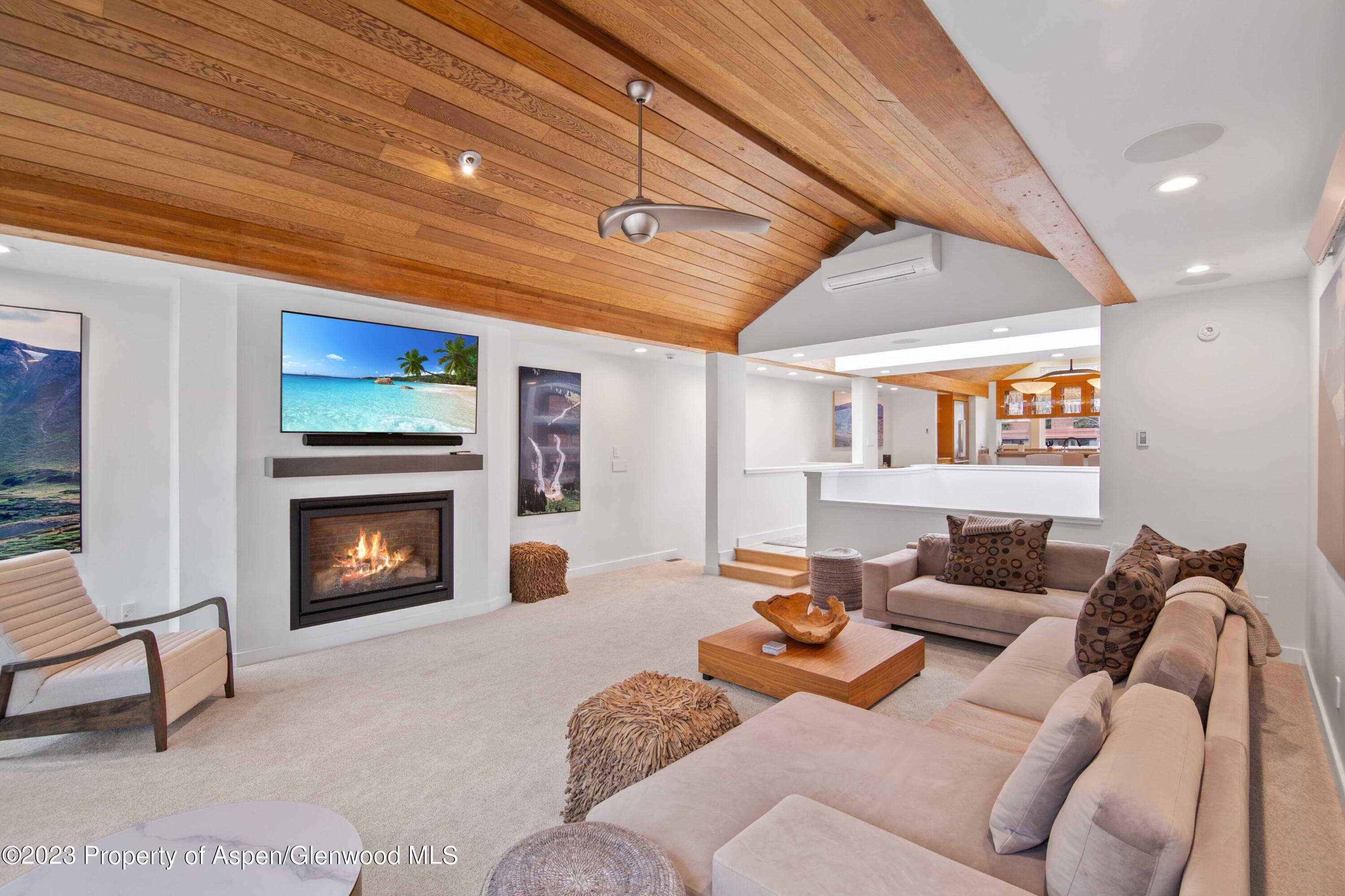 702 E Hyman Avenue, Aspen, CO 81611 - Photo 30