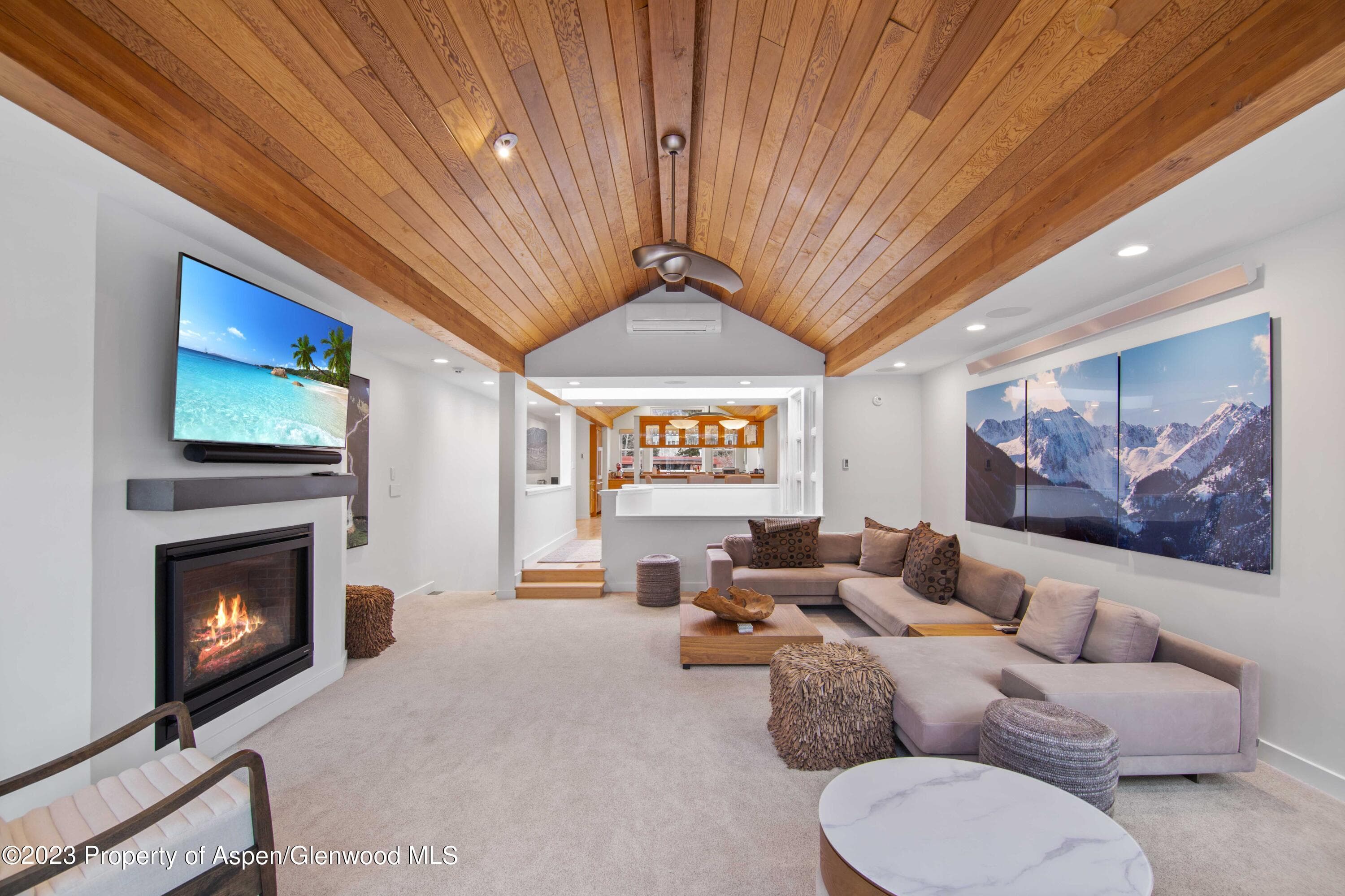 702 E Hyman Avenue, Aspen, CO 81611 - Photo 31