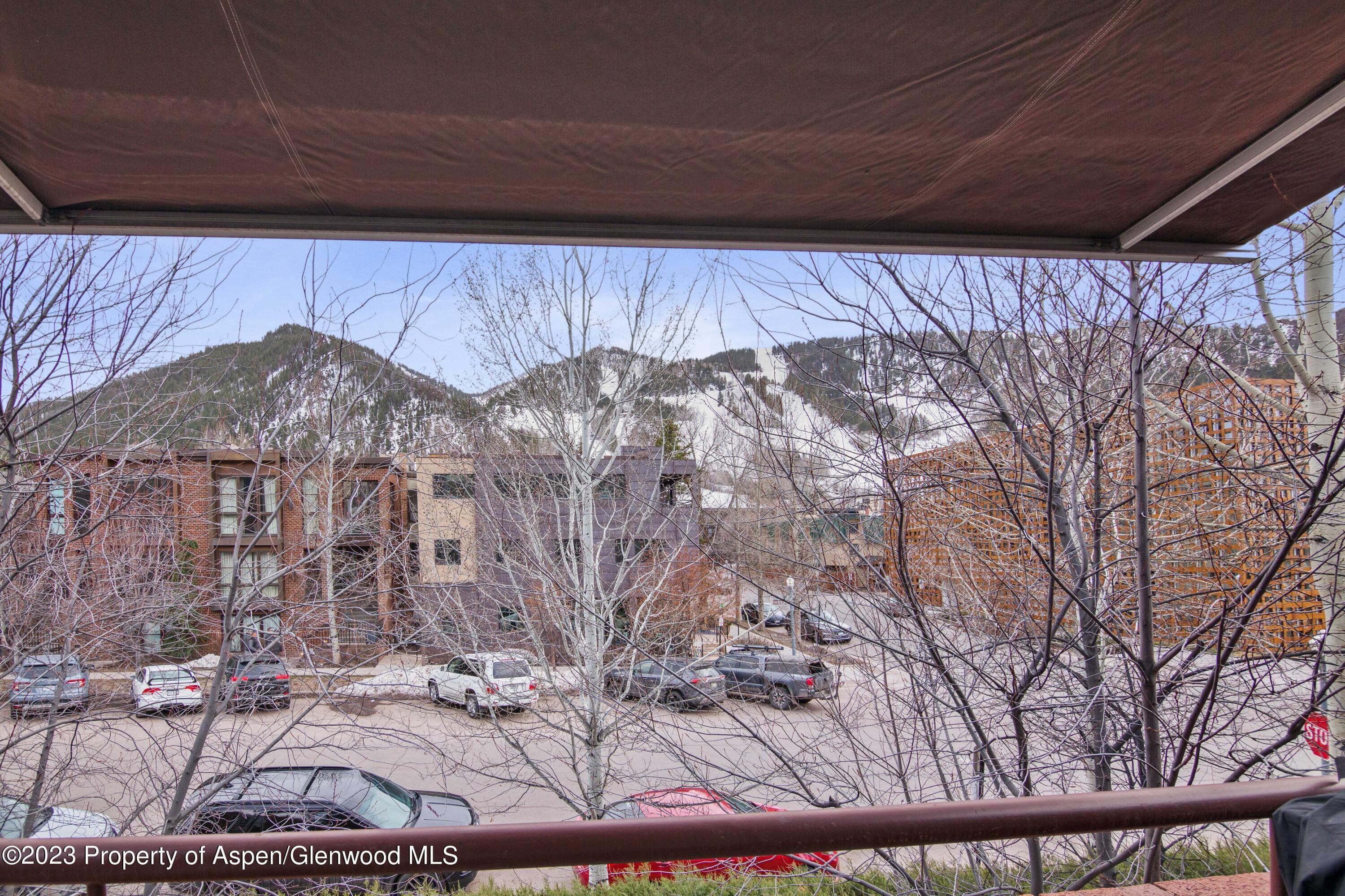 702 E Hyman Avenue, Aspen, CO 81611 - Photo 32