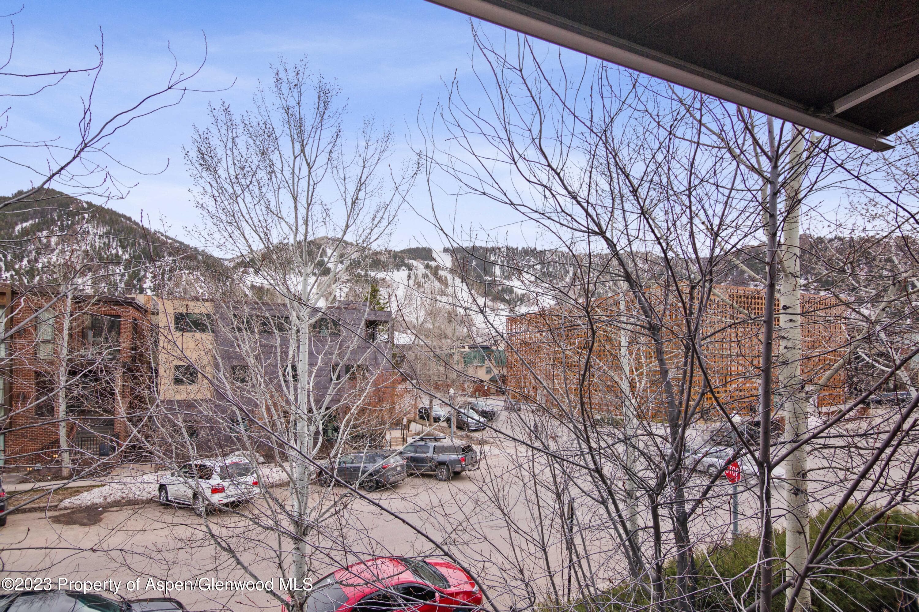 702 E Hyman Avenue, Aspen, CO 81611 - Photo 33
