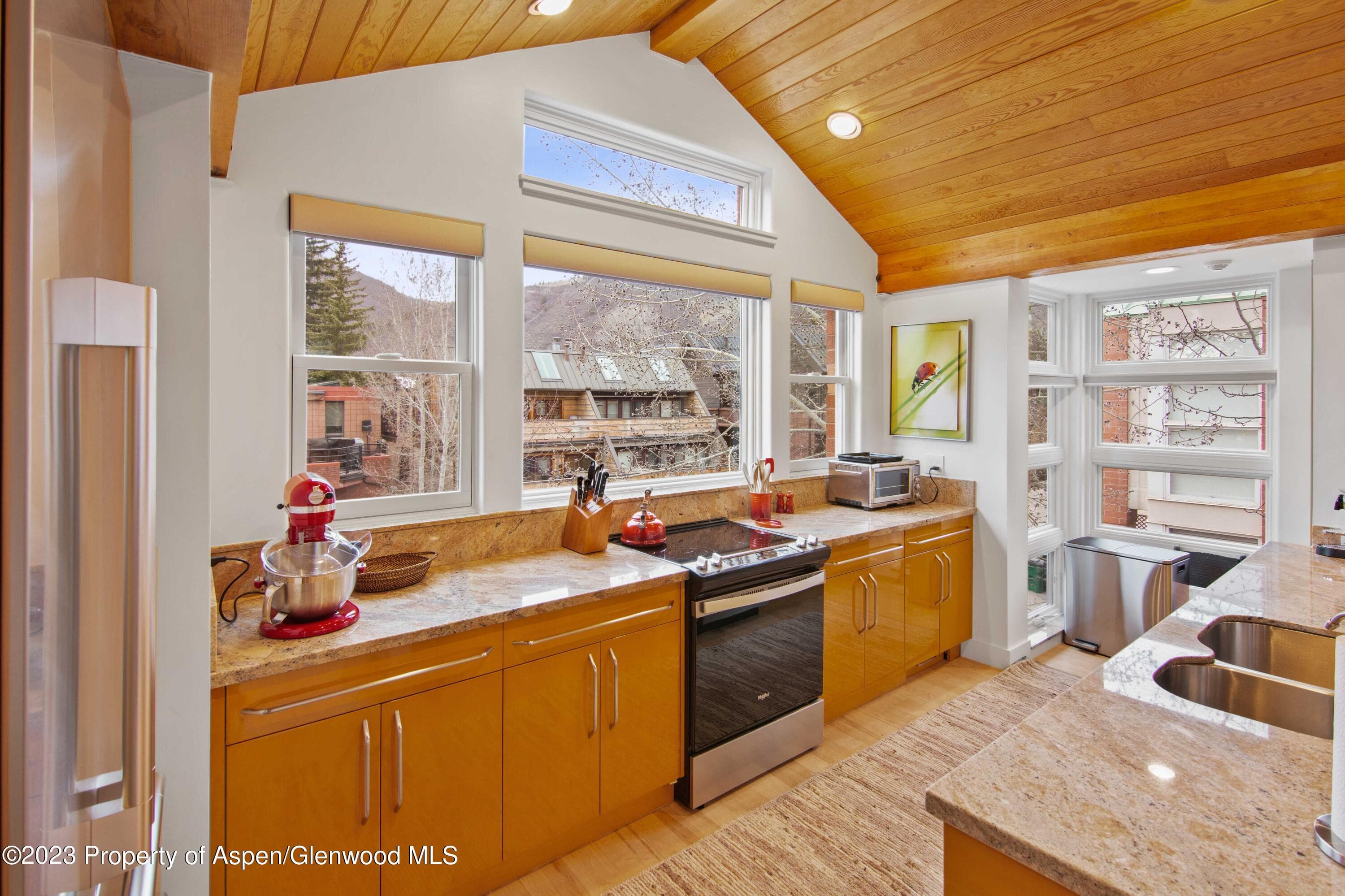 702 E Hyman Avenue, Aspen, CO 81611 - Photo 39