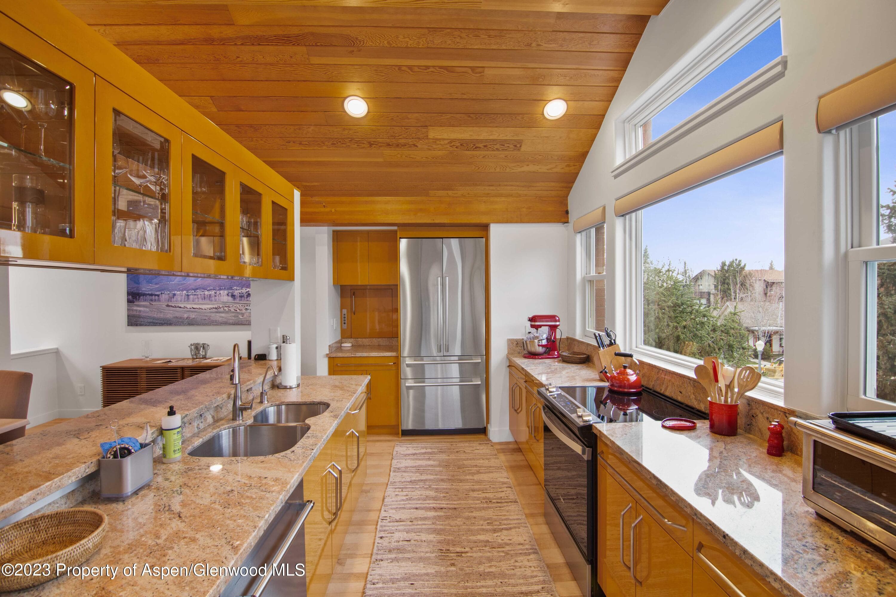 702 E Hyman Avenue, Aspen, CO 81611 - Photo 40