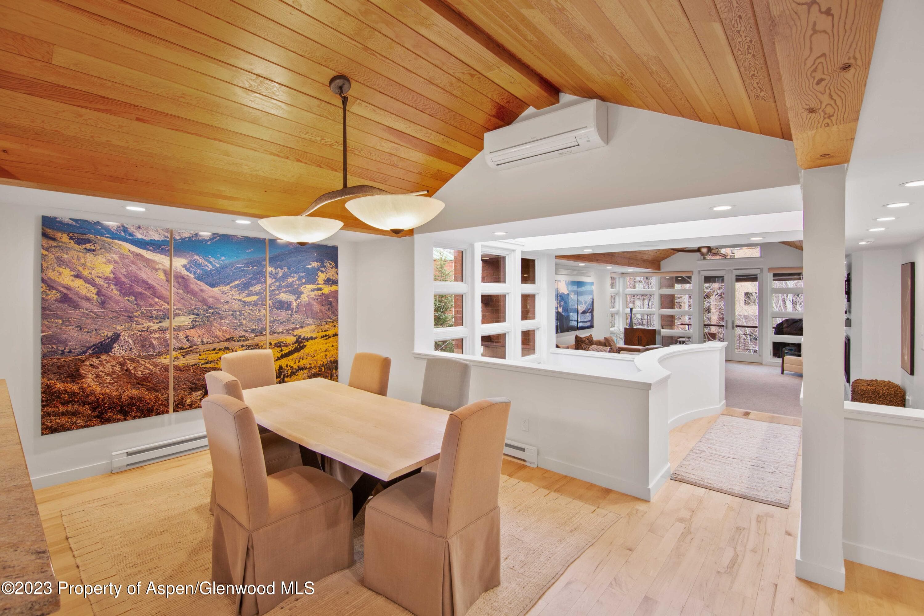 702 E Hyman Avenue, Aspen, CO 81611 - Photo 41