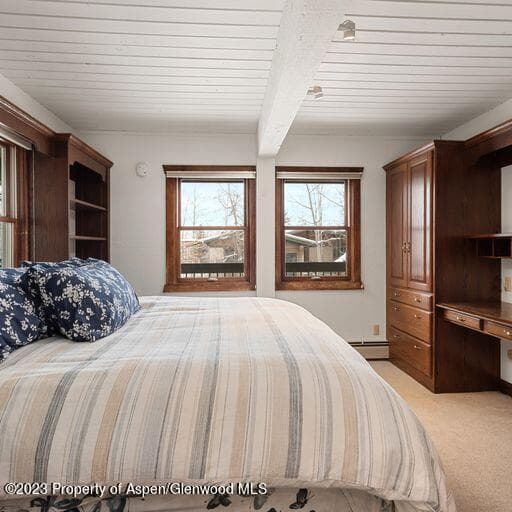 855 Carriage Way Unit #801, Snowmass Village, CO 81615 - Photo 10