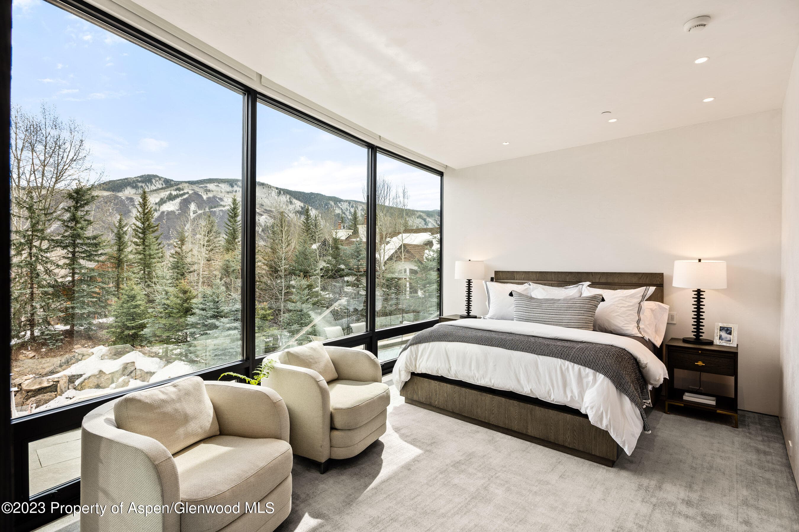 19 Little Cloud Trail, Aspen, CO 81611 - Photo 26
